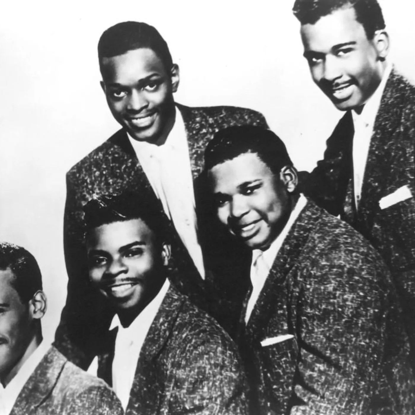 The Cardinals Brand Page