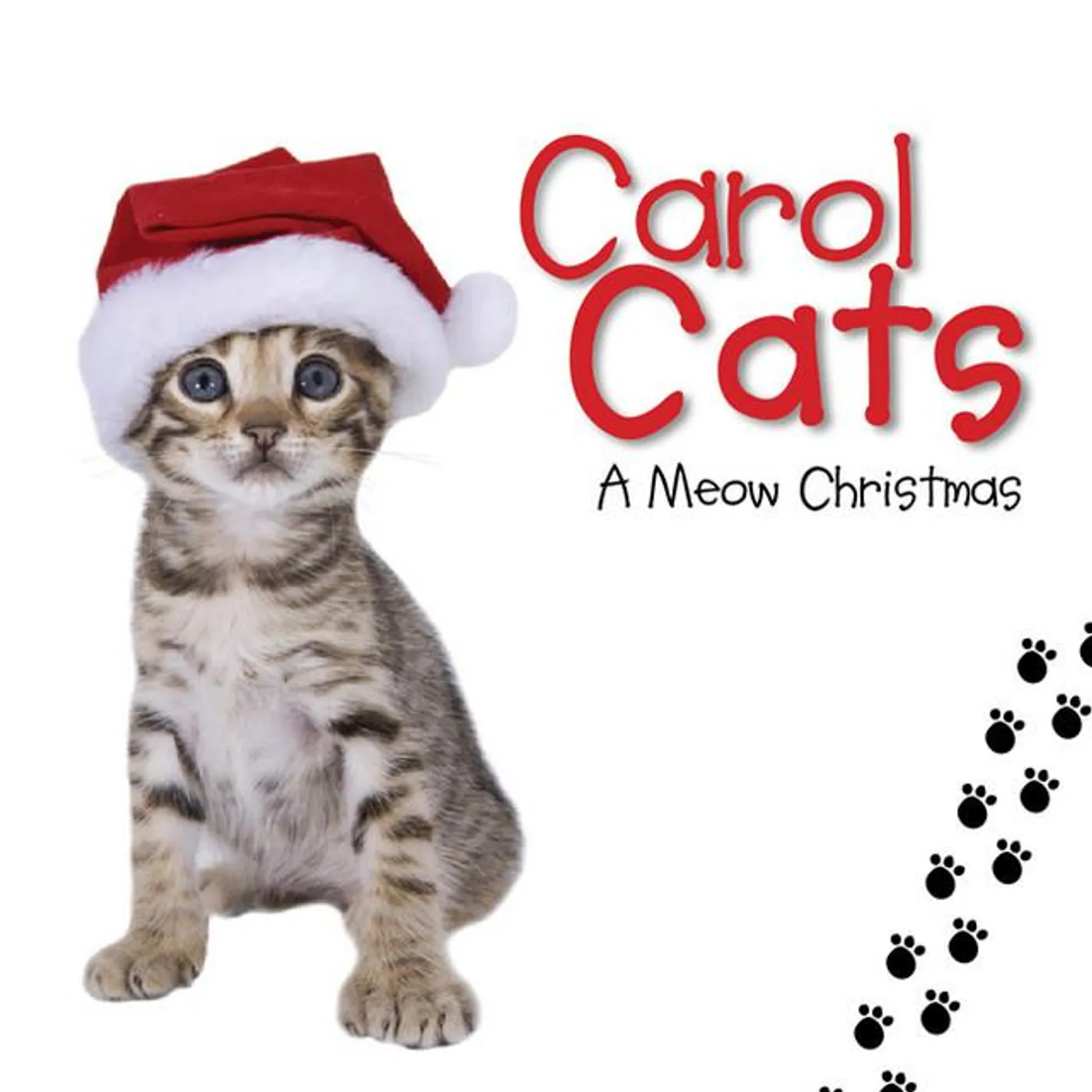 Carol Cats Brand Page