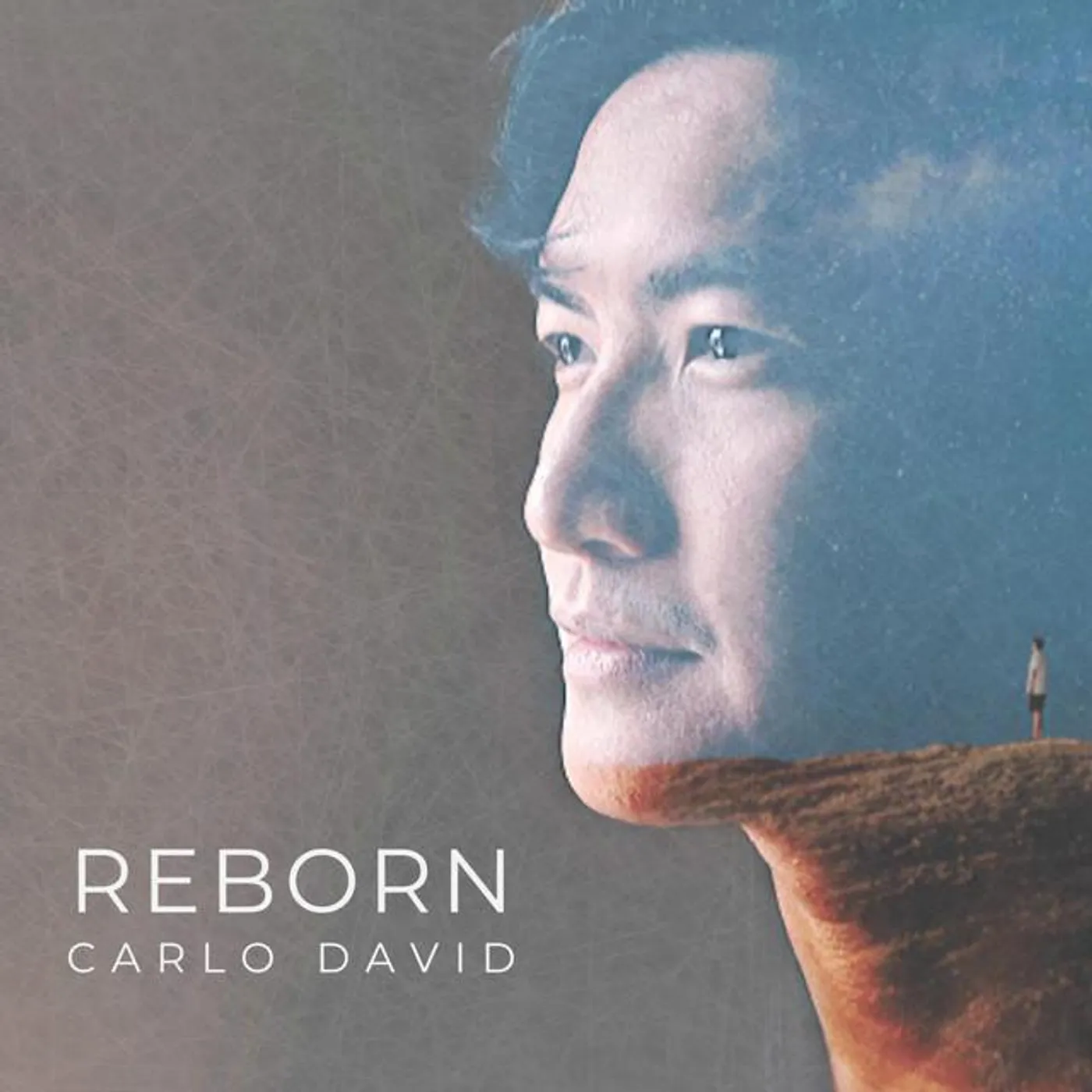 Carlo David Brand Page