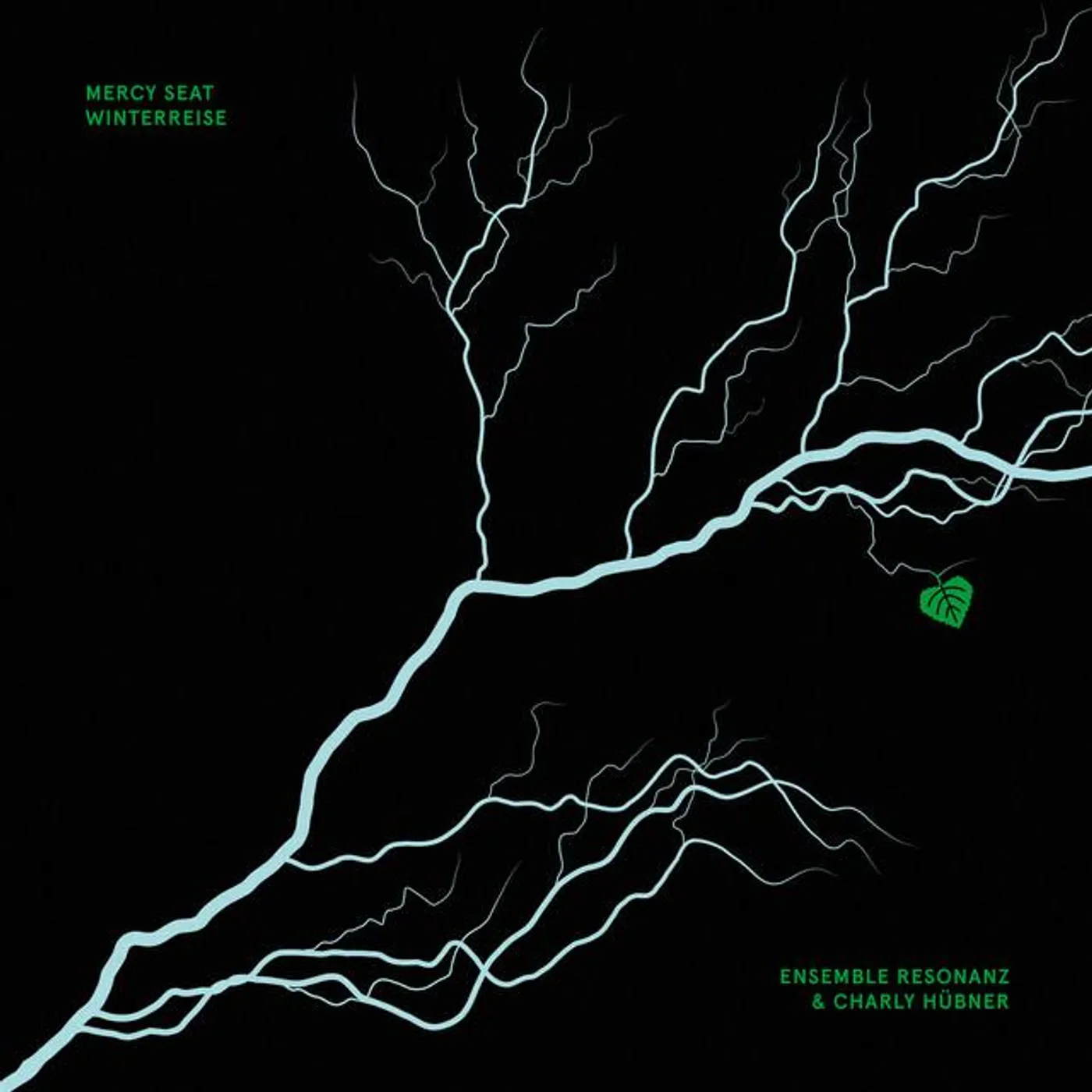 Carlos Bica Brand Page