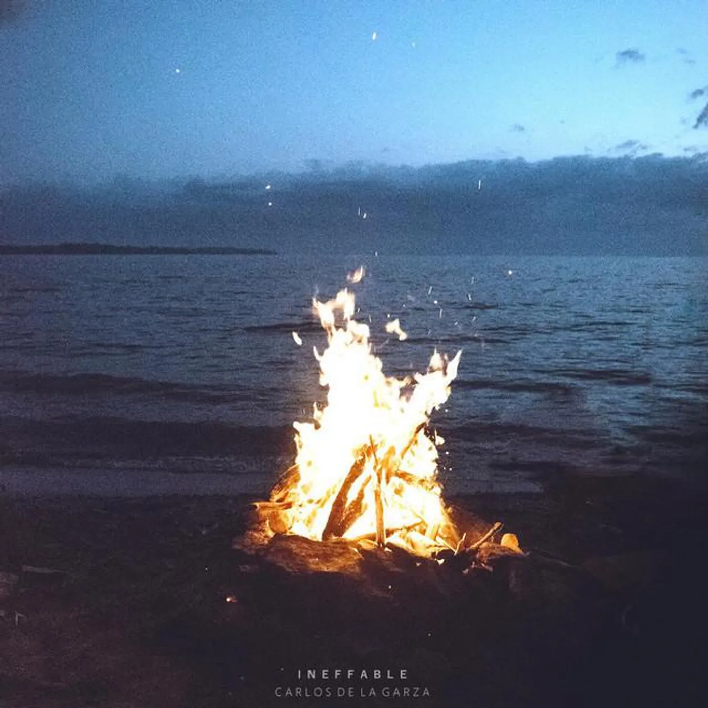 Carlos De La Garza Brand Page