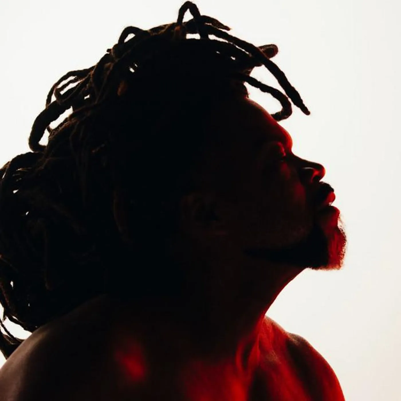 Carlinhos Brown Brand Page