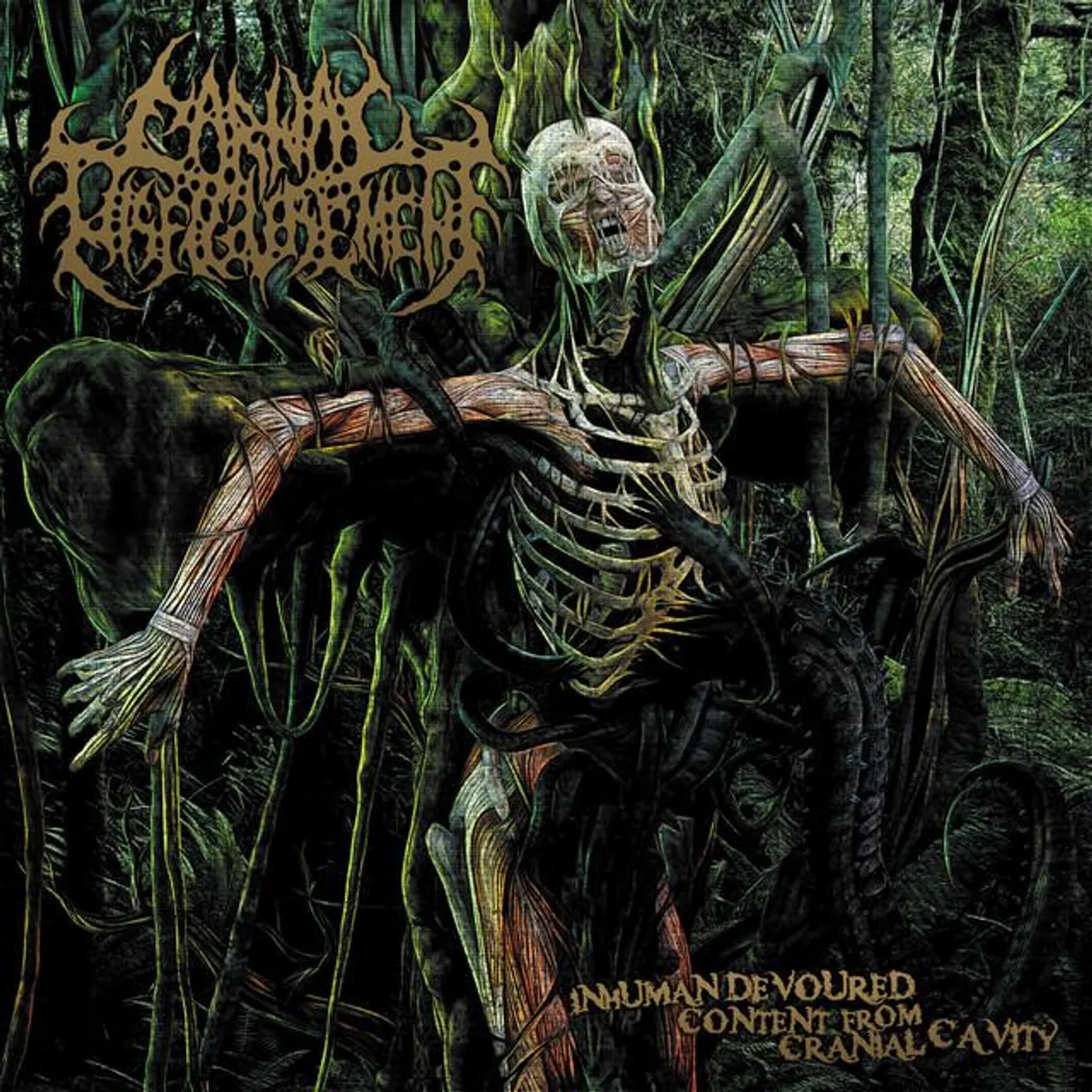 Carnal Disfigurement Brand Page