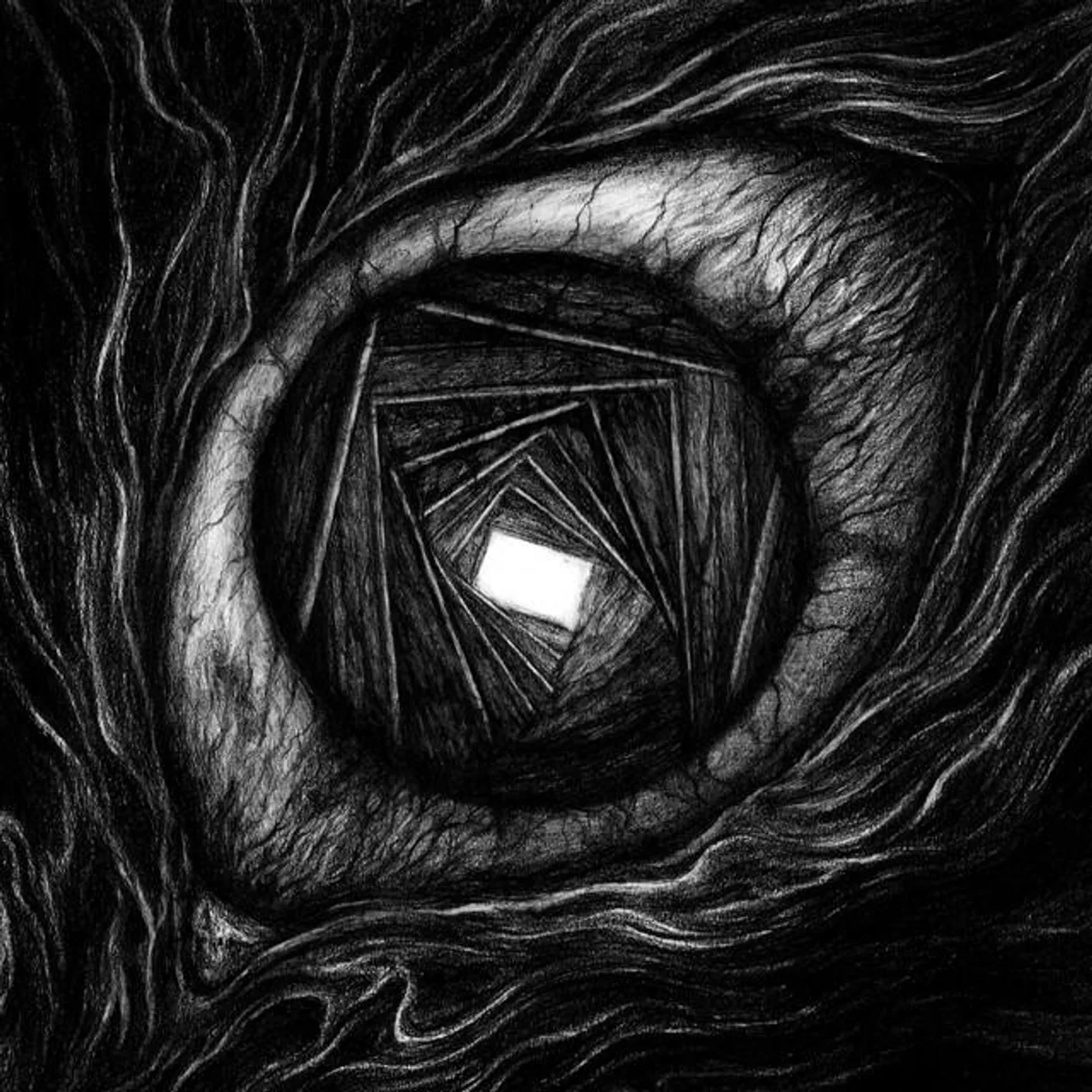 Carpe Noctem Brand Page