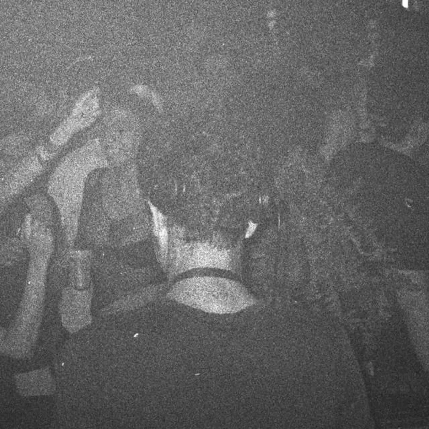 Carrot Green Brand Page