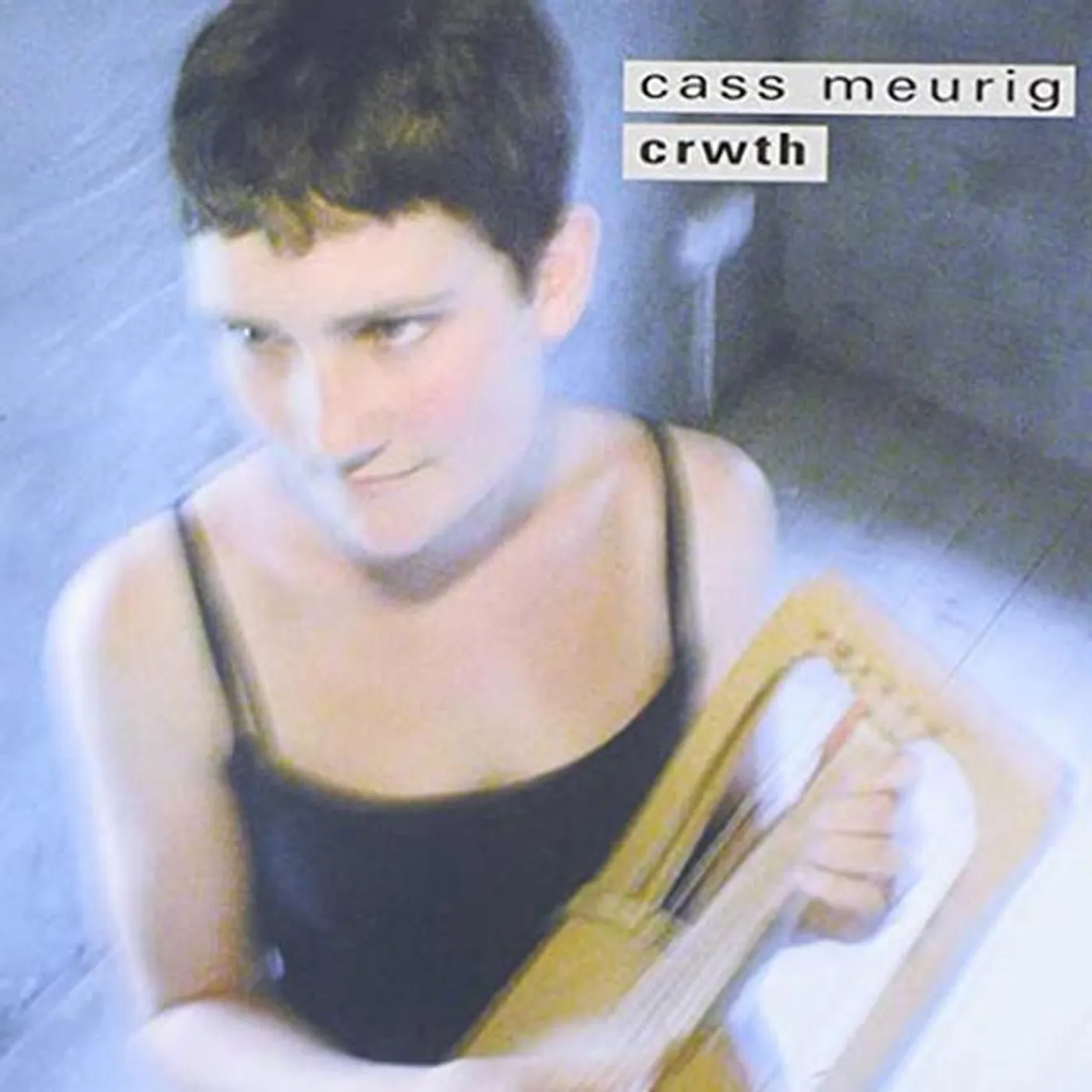 Cass Meurig