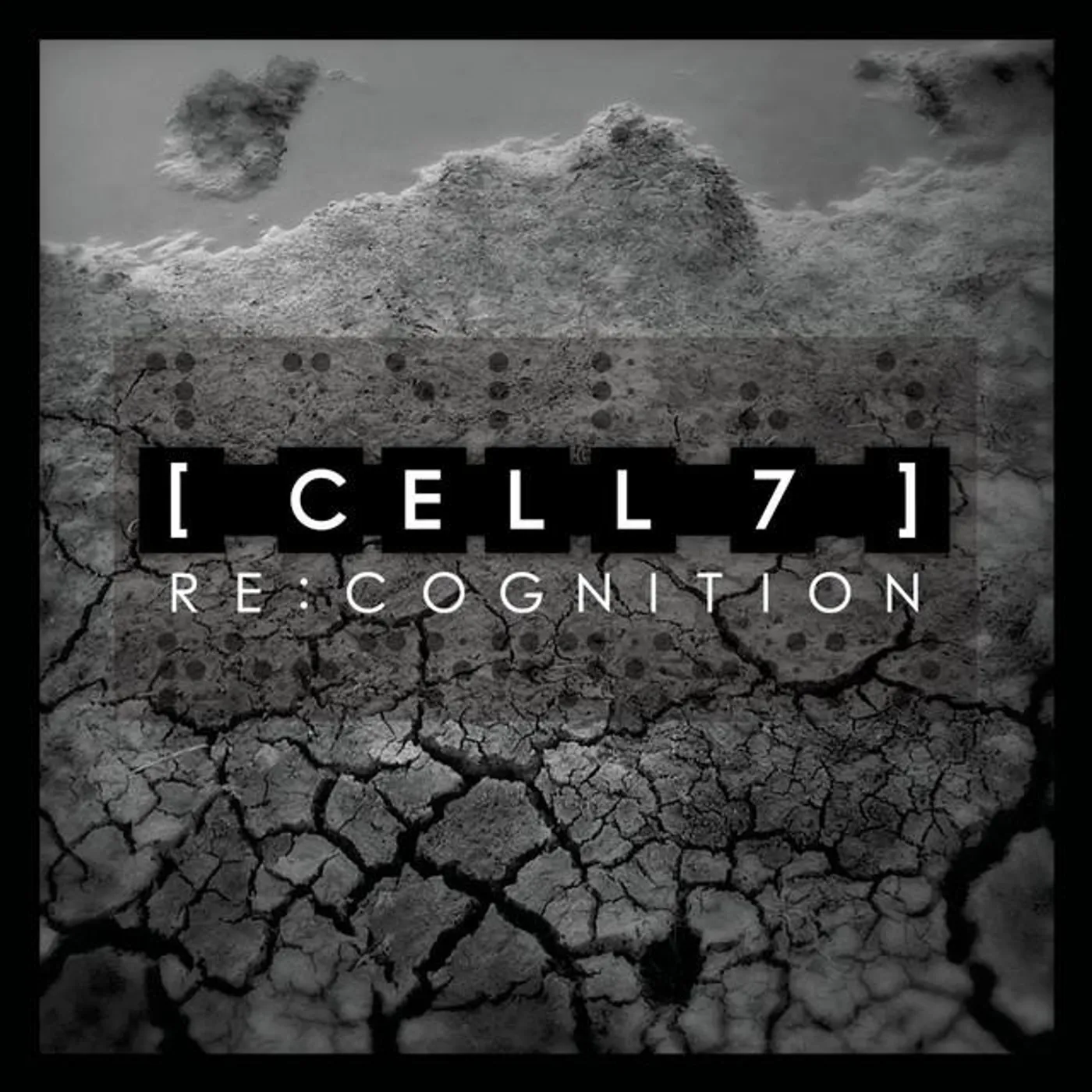 Cell 7