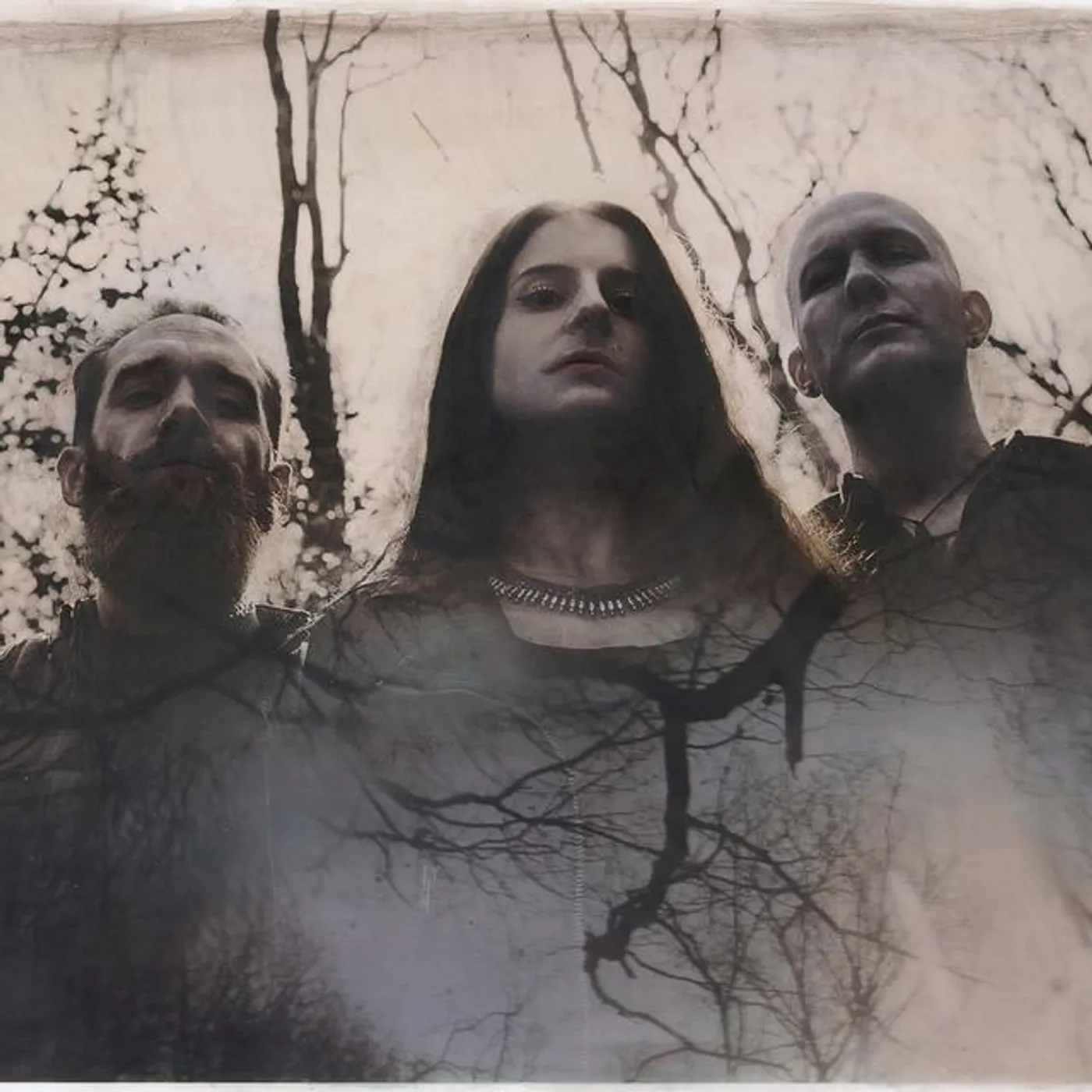 Cellar Darling Brand Page