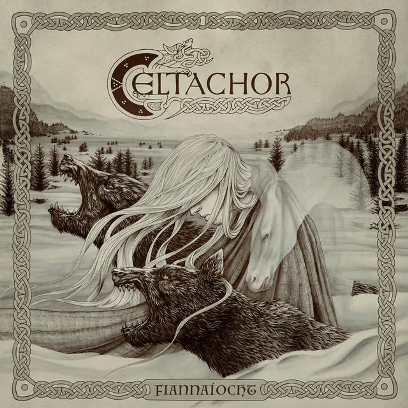 Celtachor