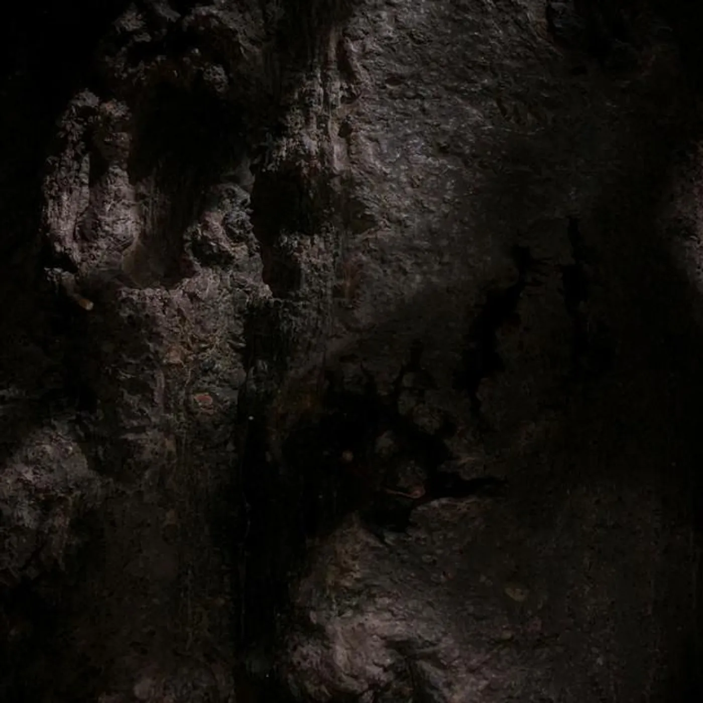 Celyn June Brand Page