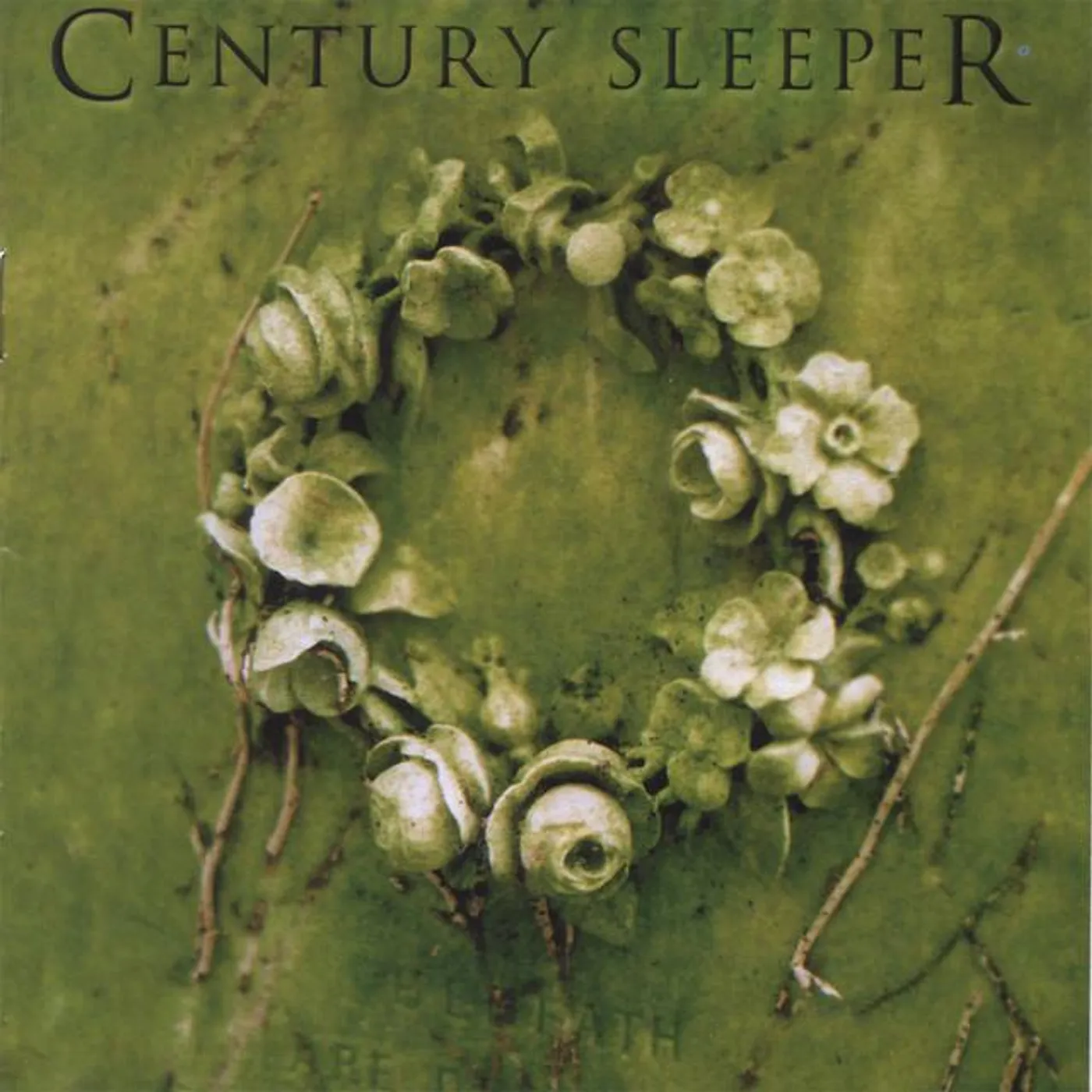 Century Sleeper Brand Page