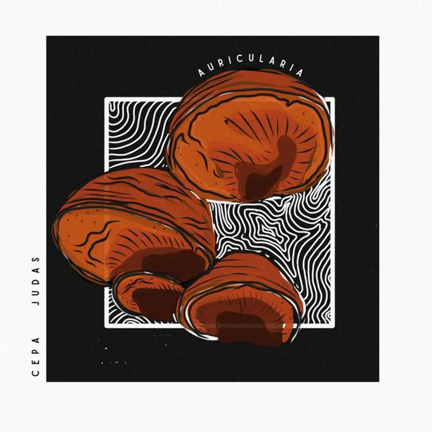 Cepa Judas Brand Page