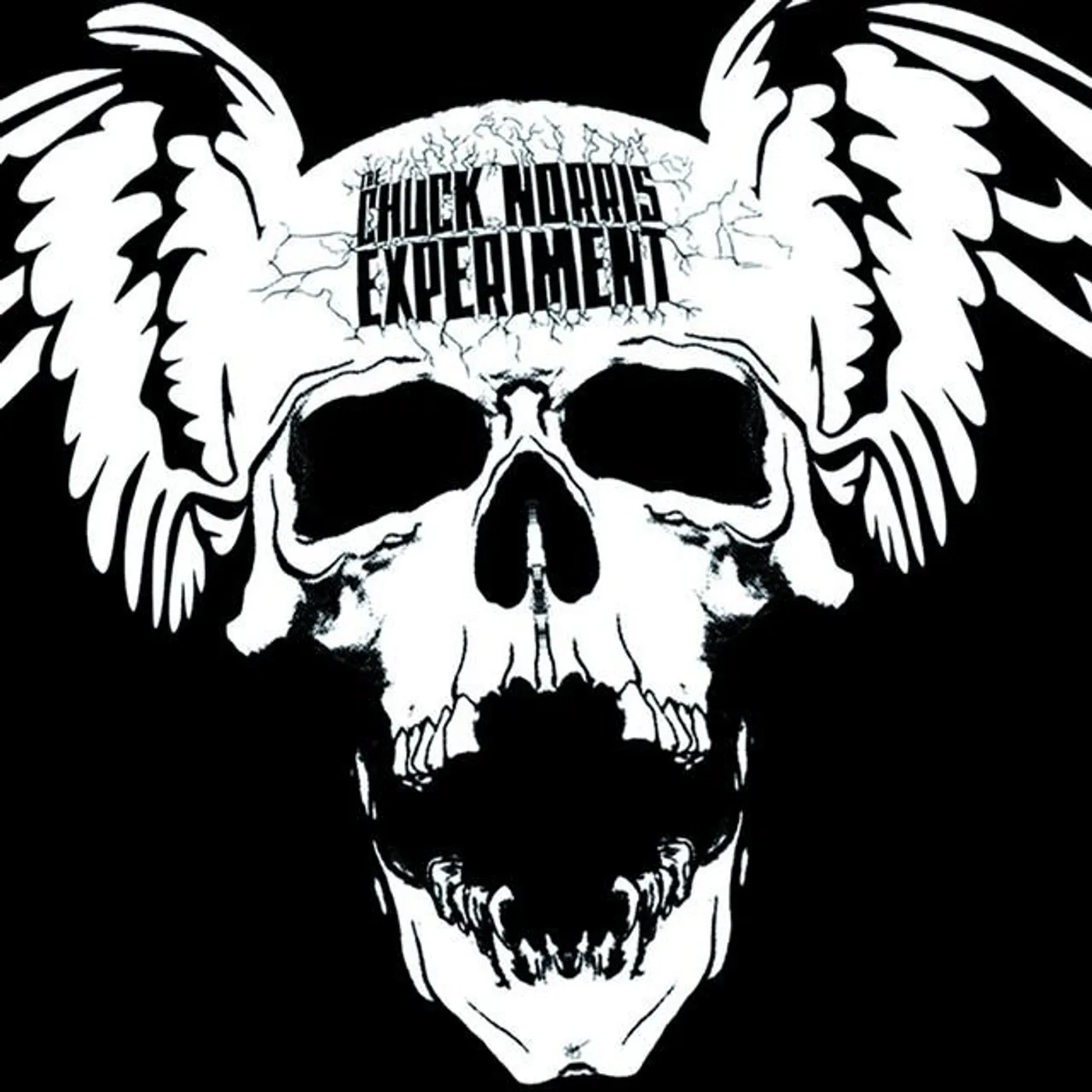 The Chuck Norris Experiment Brand Page