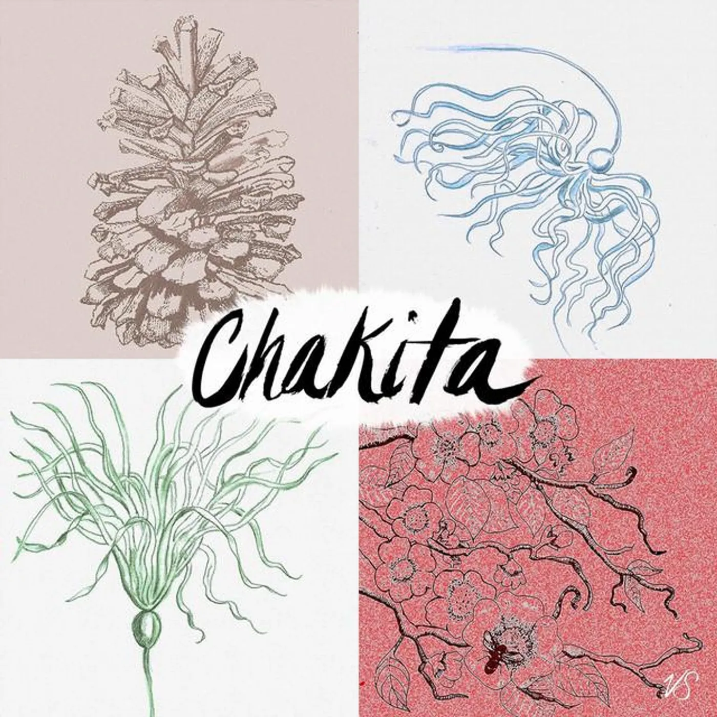 Chakita Brand Page