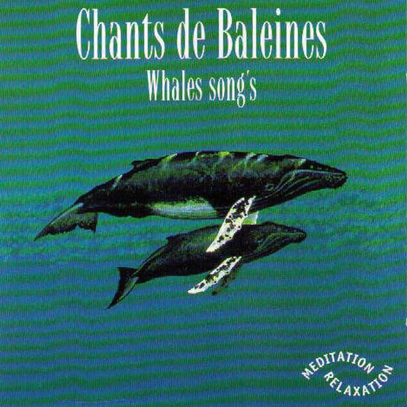 Chants De Baleines