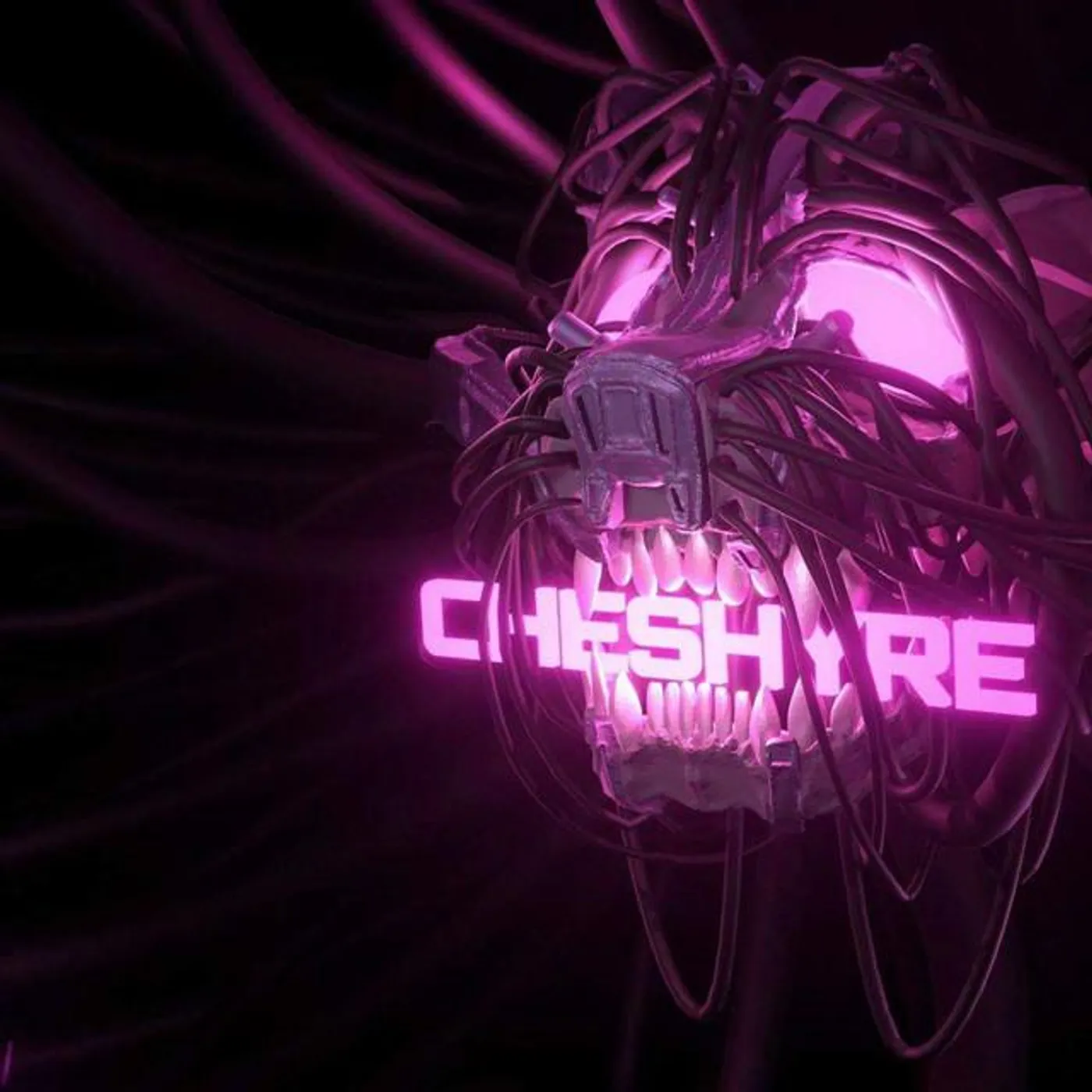 Cheshyre Brand Page