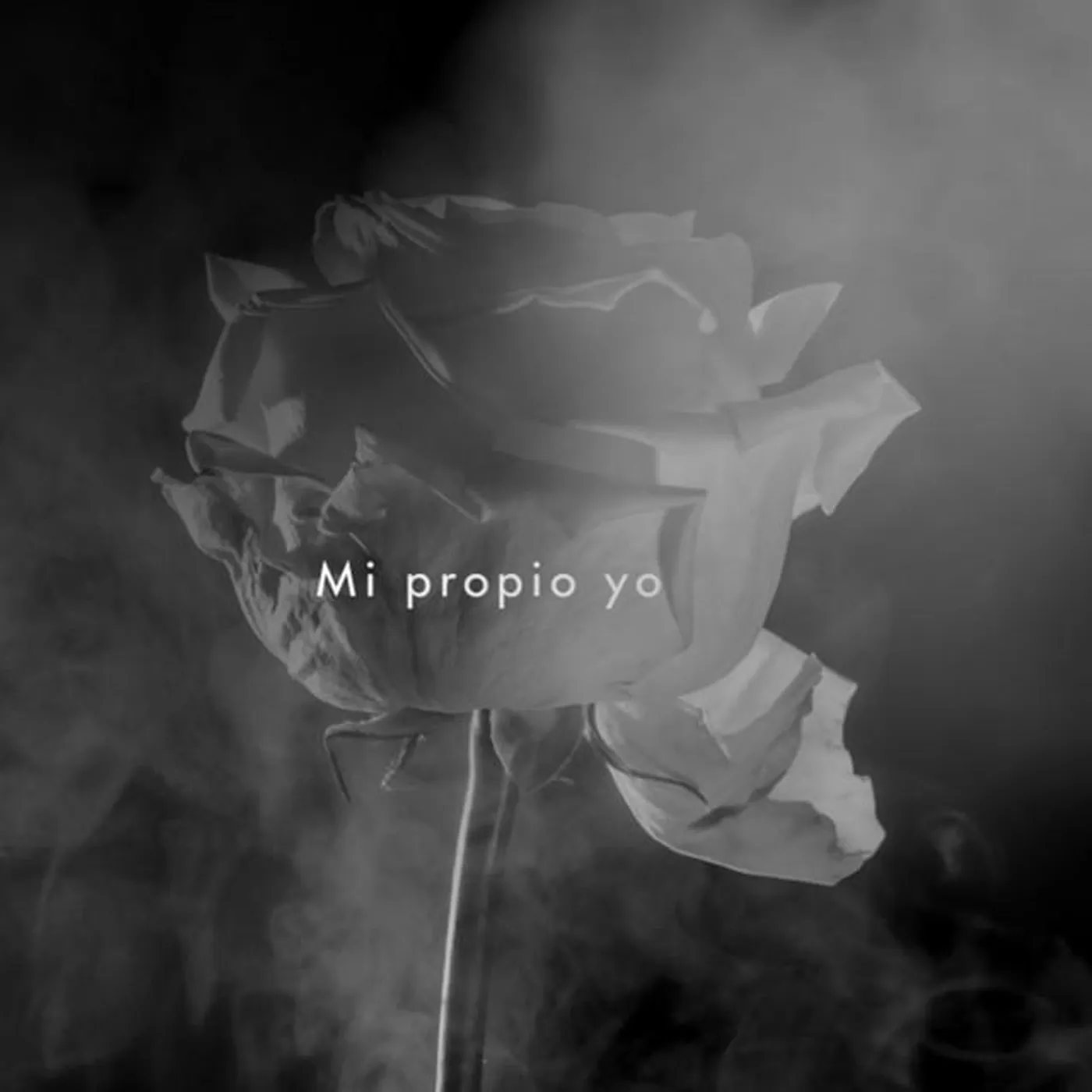 Cherry Navarro Brand Page