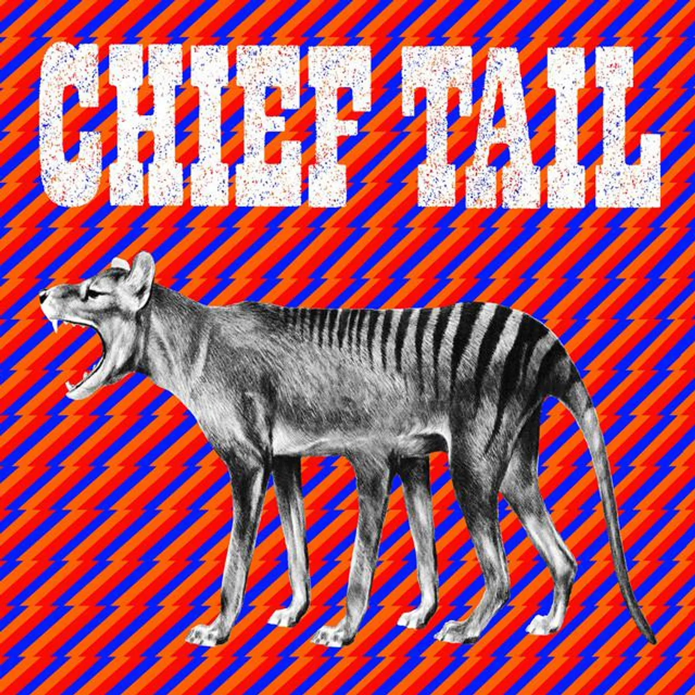Chief Tail Brand Page