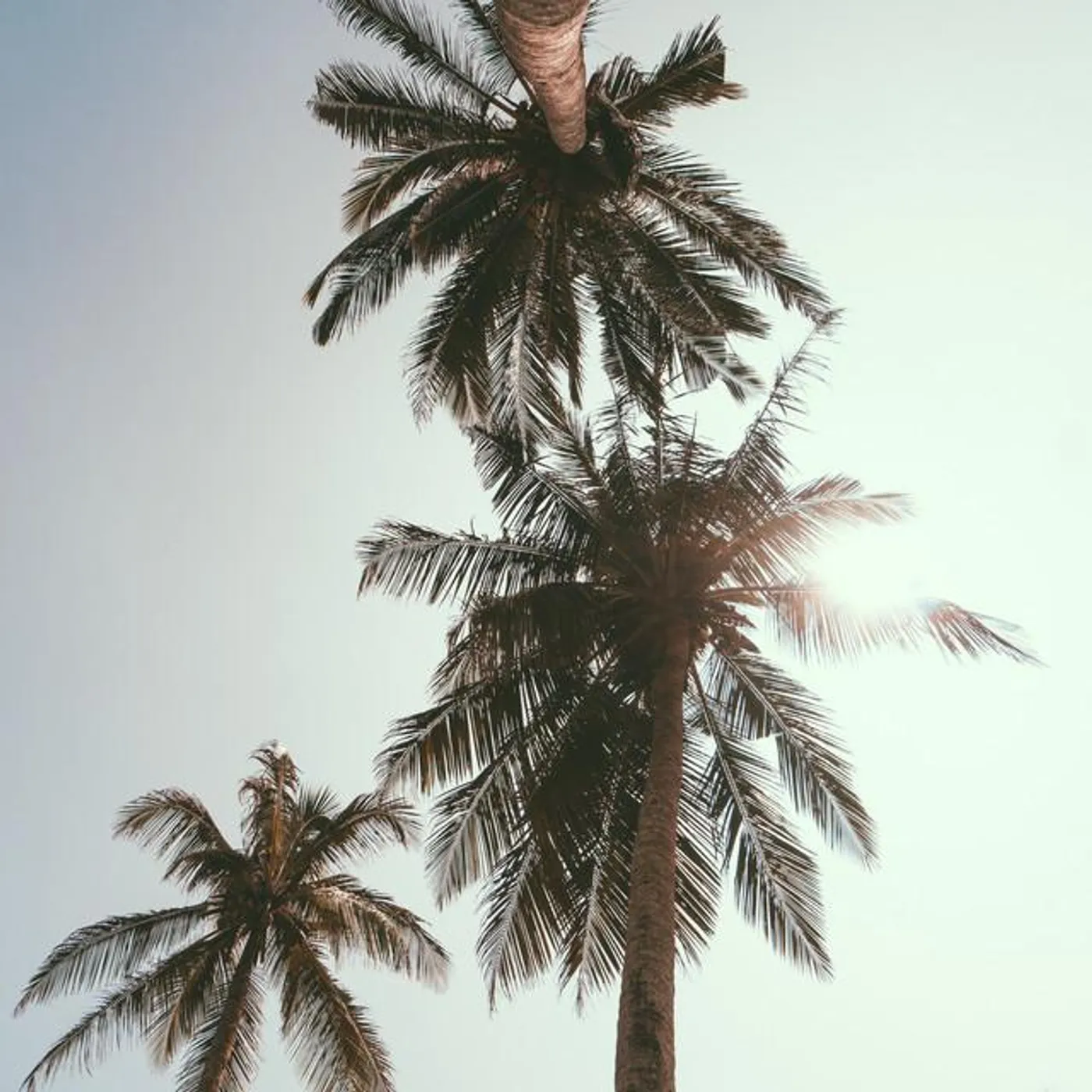 Chill Identity Brand Page