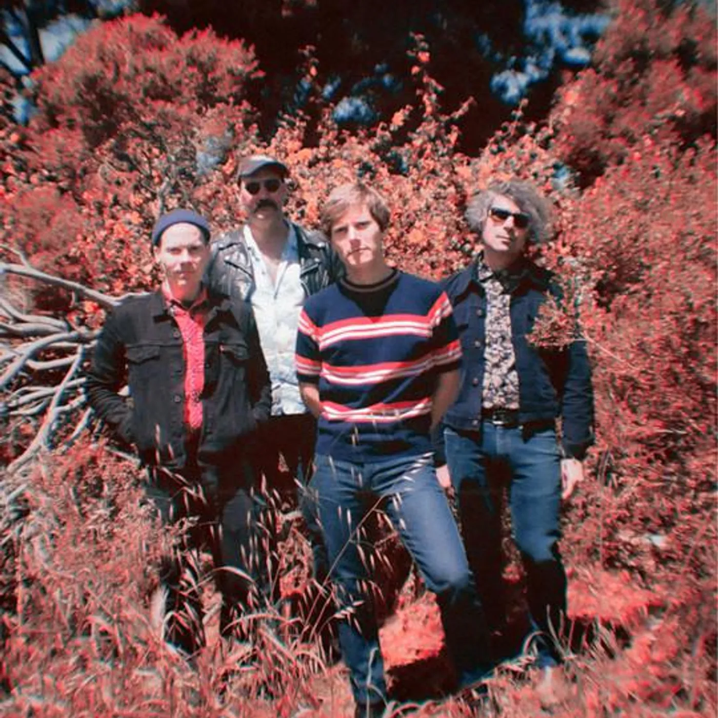 Chime School Brand Page