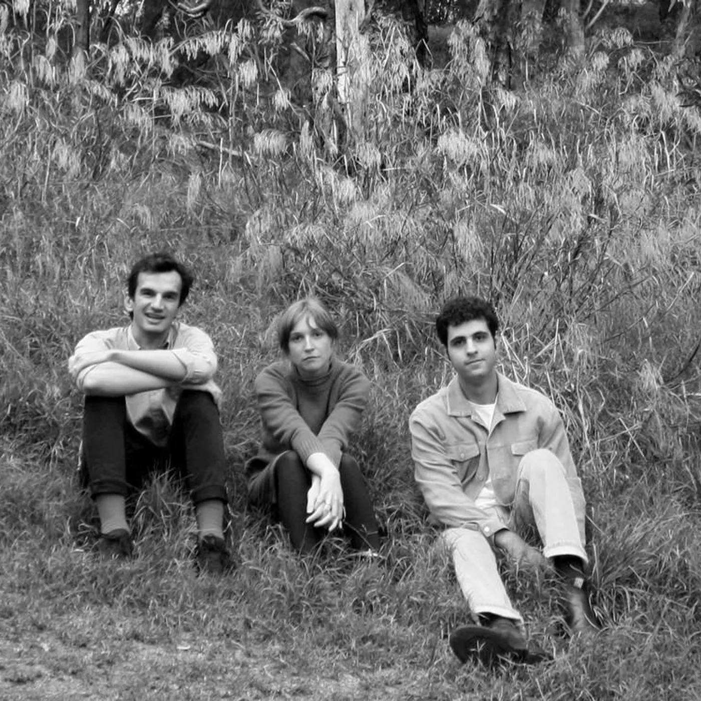 Chook Race Brand Page