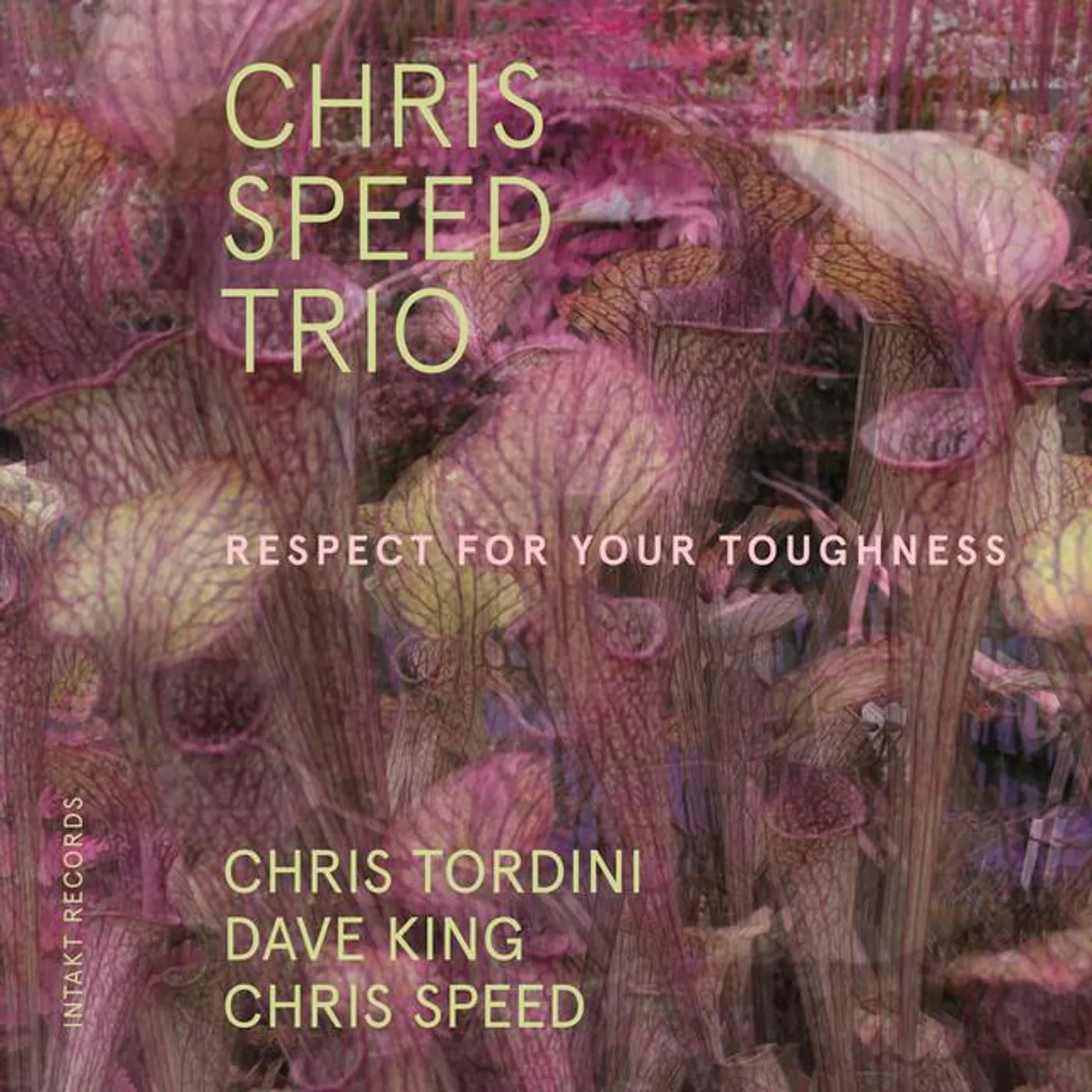 Chris Speed Trio
