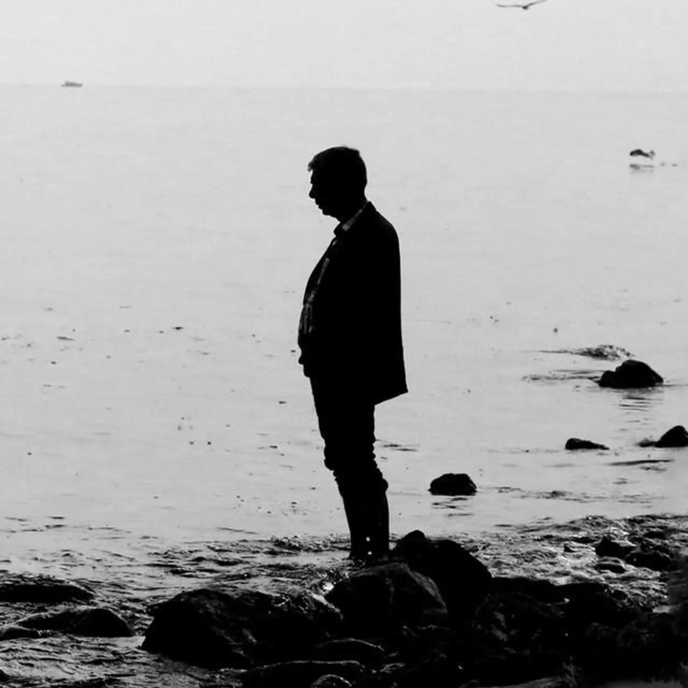 Chris Wolfe Brand Page