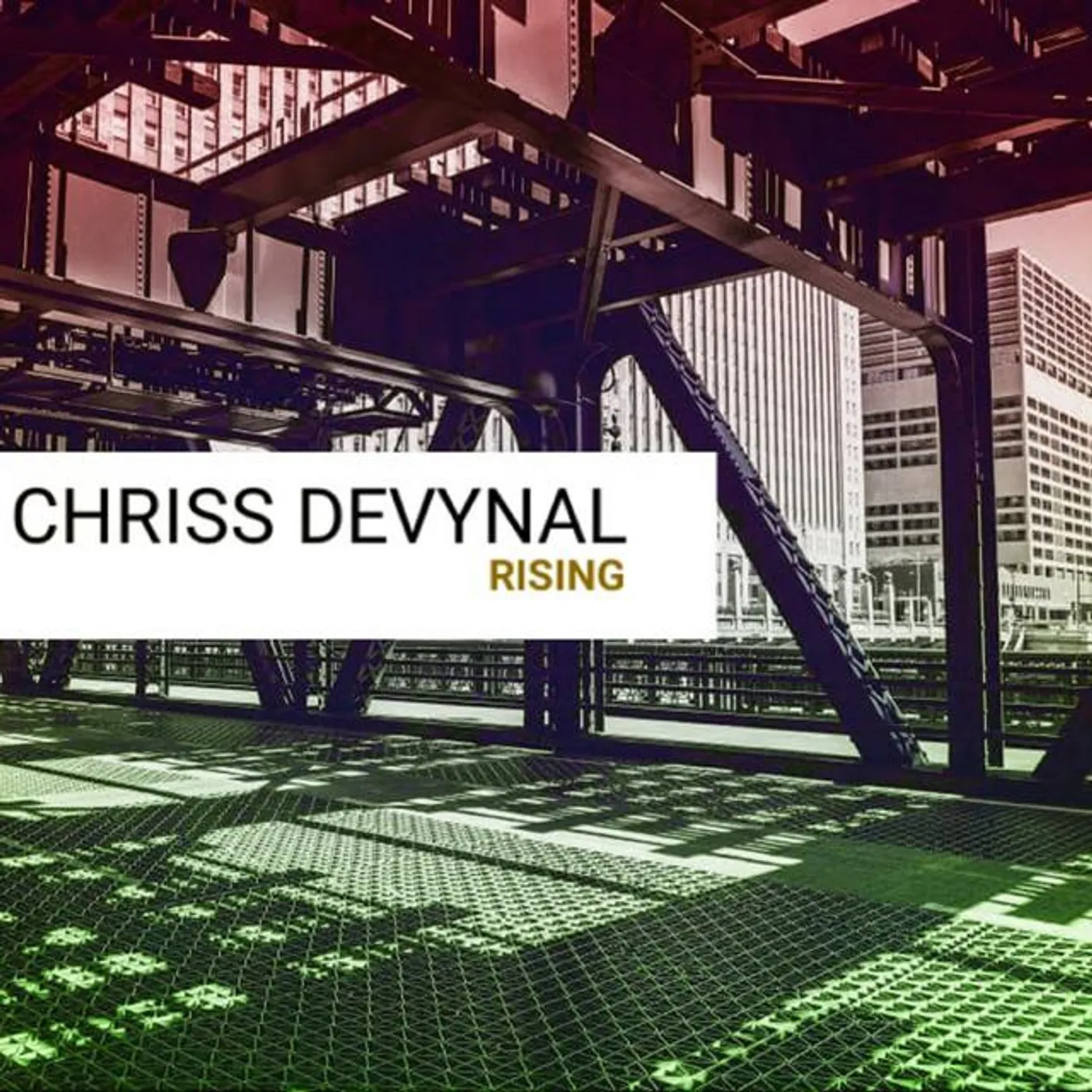 Chriss DeVynal Brand Page