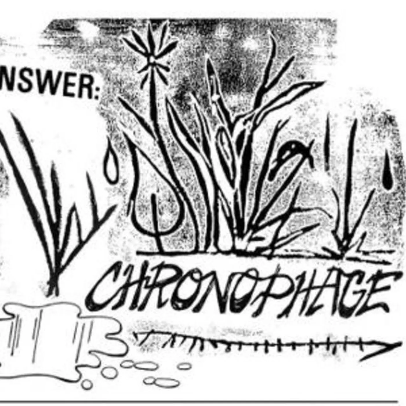 Chronophage Brand Page