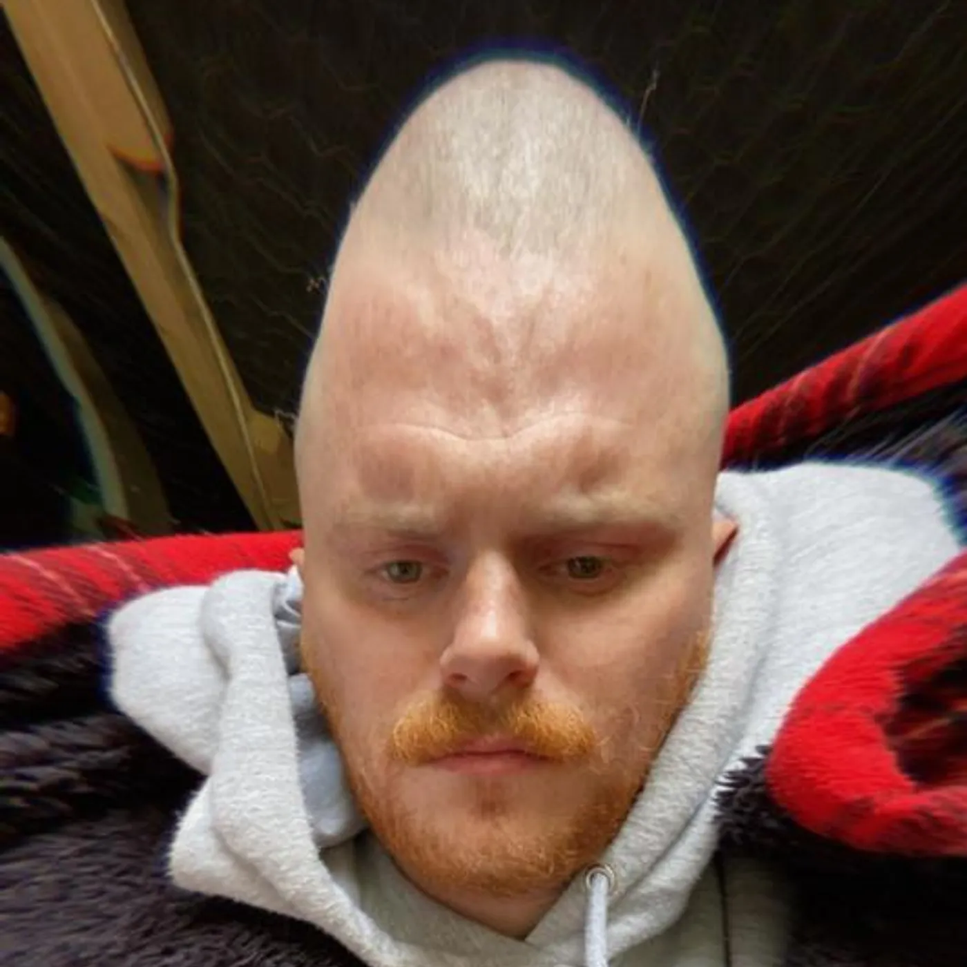 Citrus Fresh Brand Page