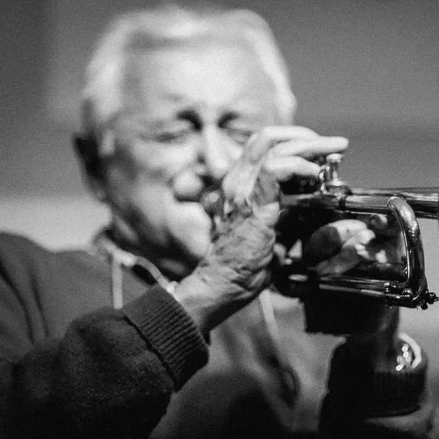 Cicci Santucci Brand Page