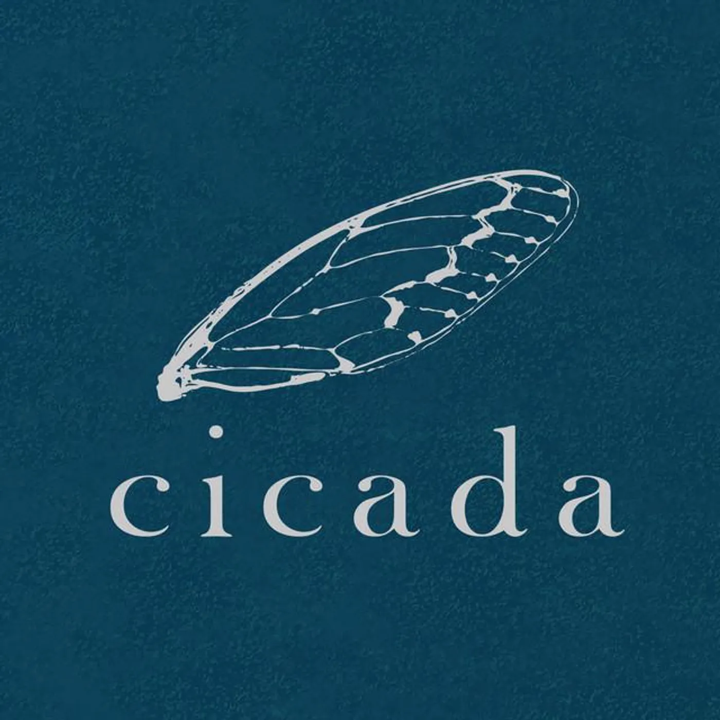 Cicada Brand Page