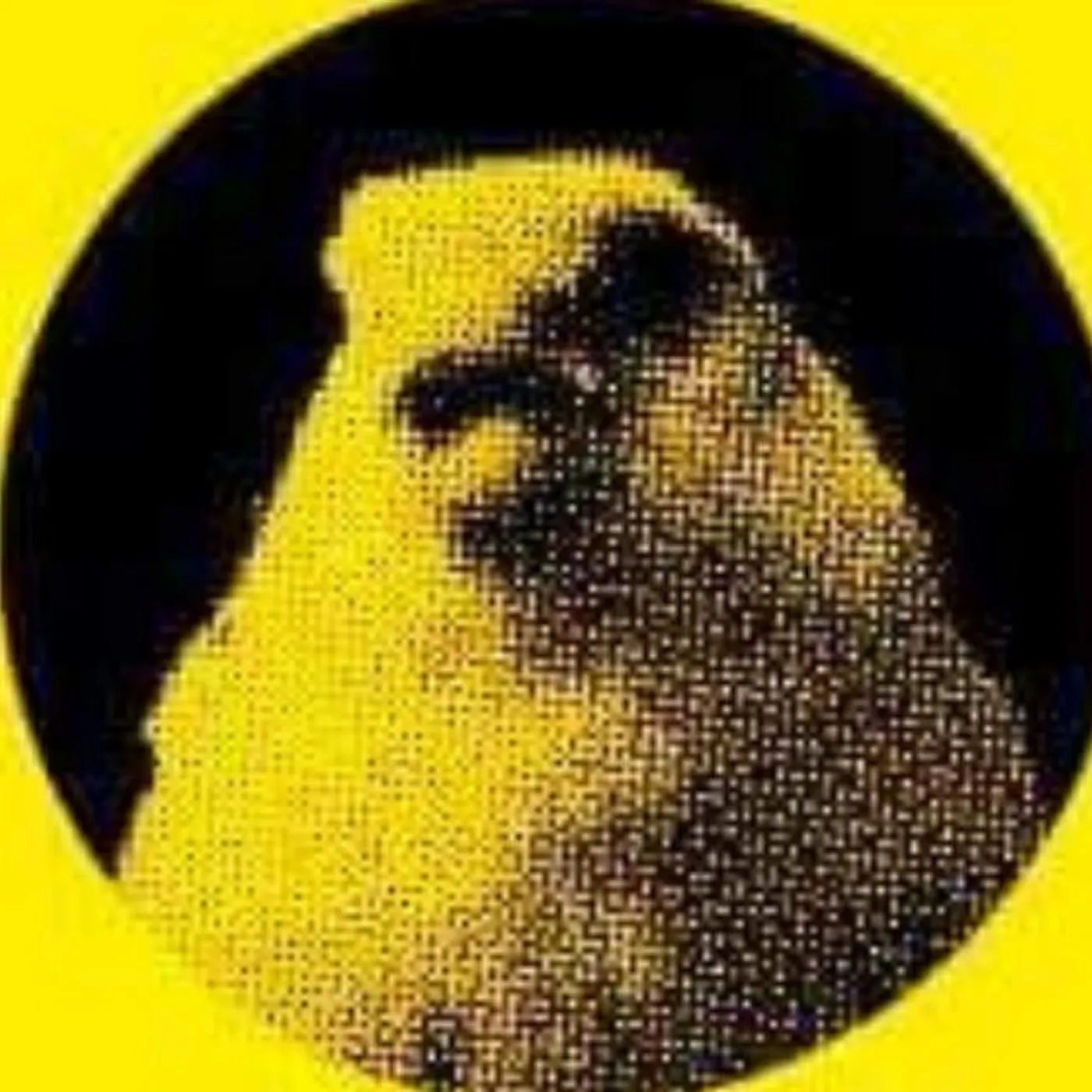 Ácido Canario Brand Page