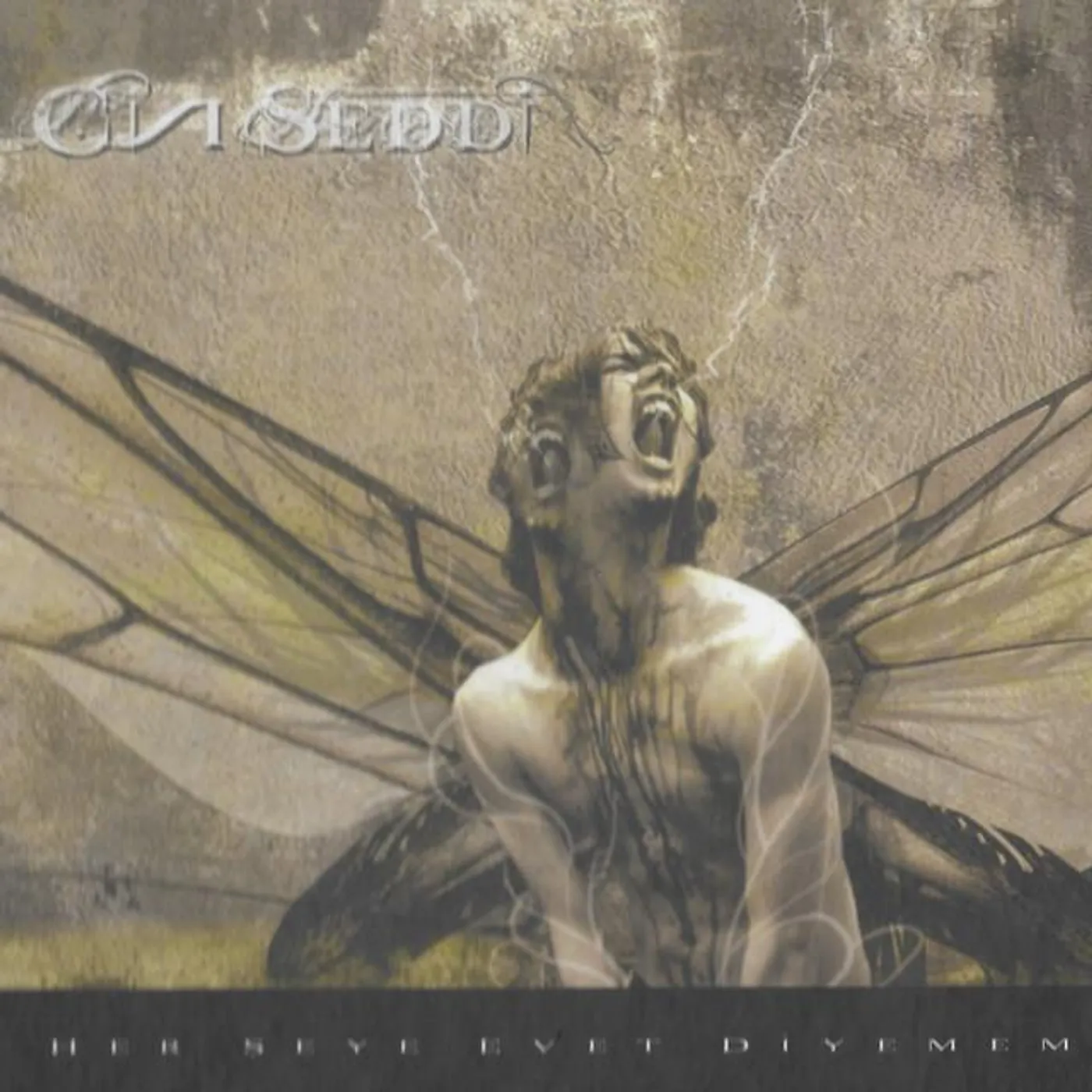 Cin Seddi Brand Page