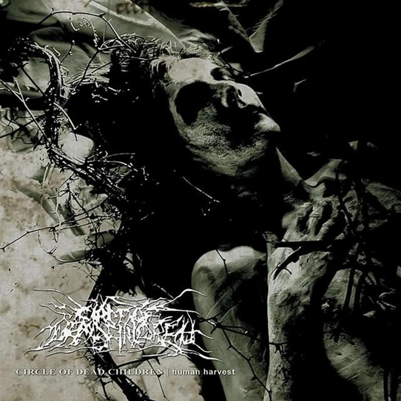 Circle Of Dead Children