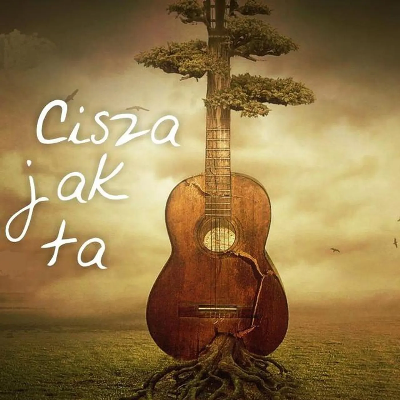 Cisza Jak Ta