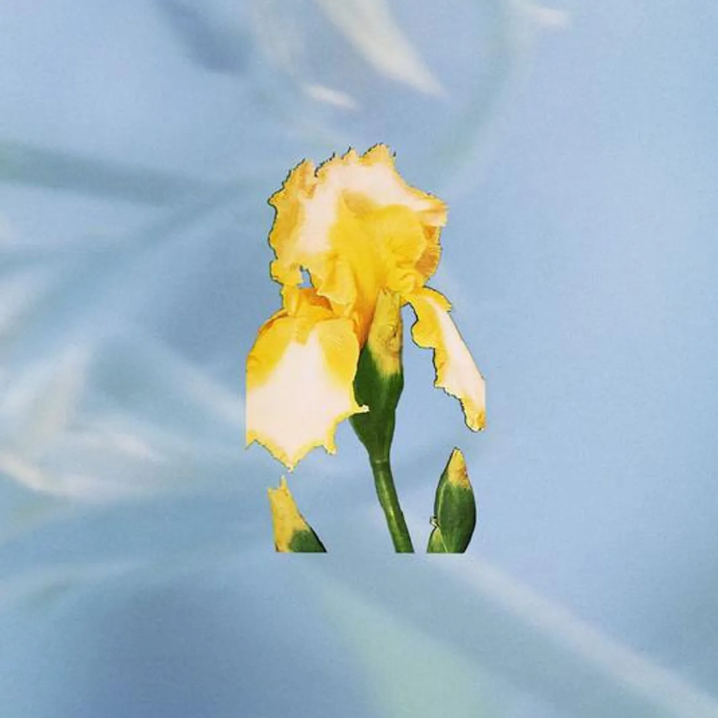 Club Kuru Brand Page