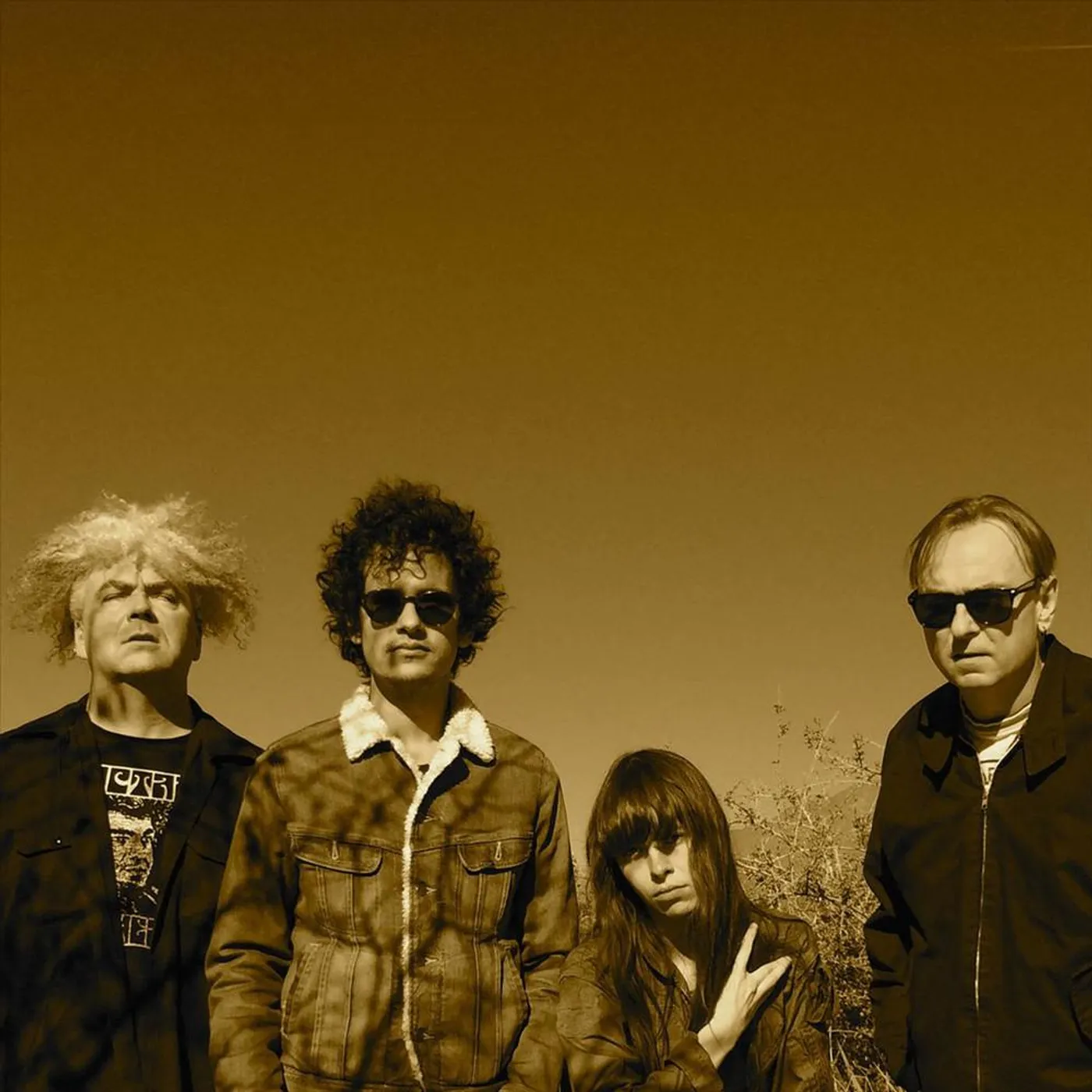 Crystal Fairy Brand Page