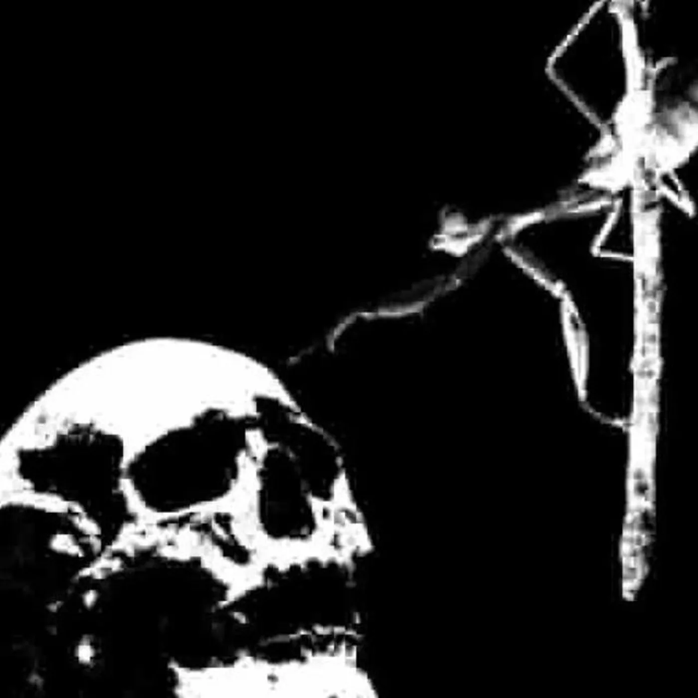 Crankbait Brand Page