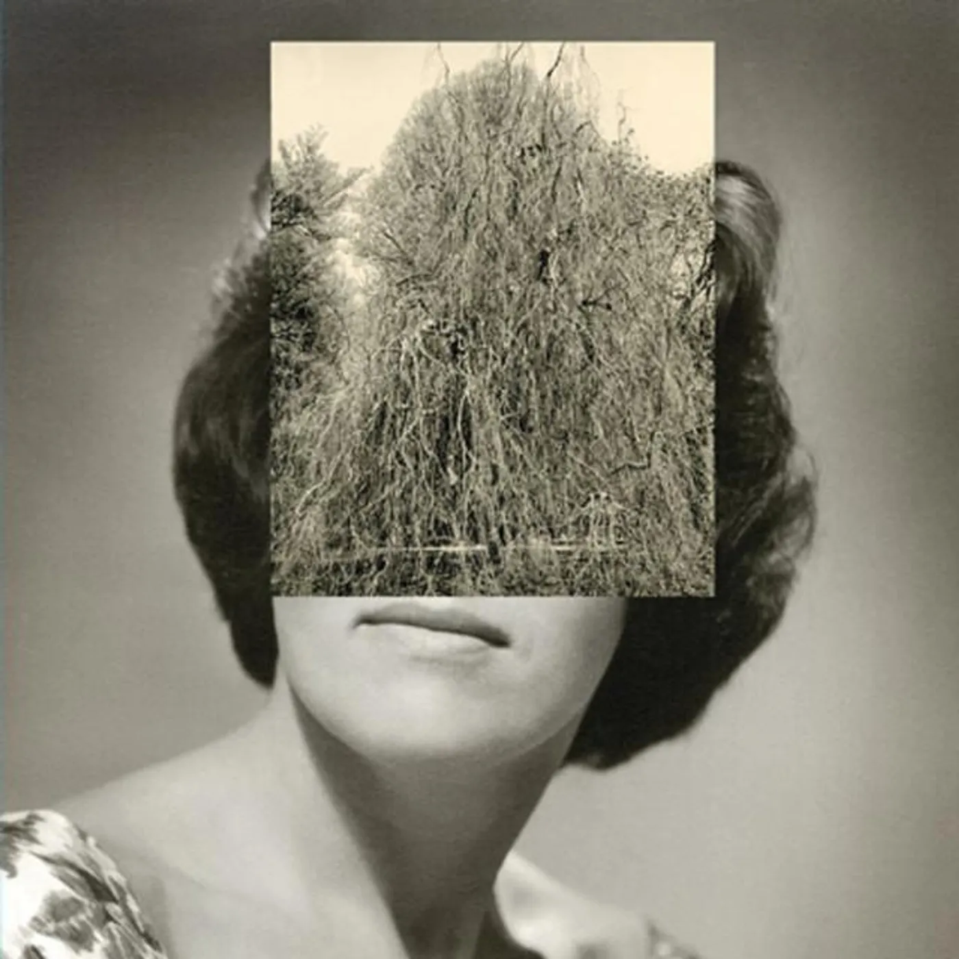 Crash Normal Brand Page