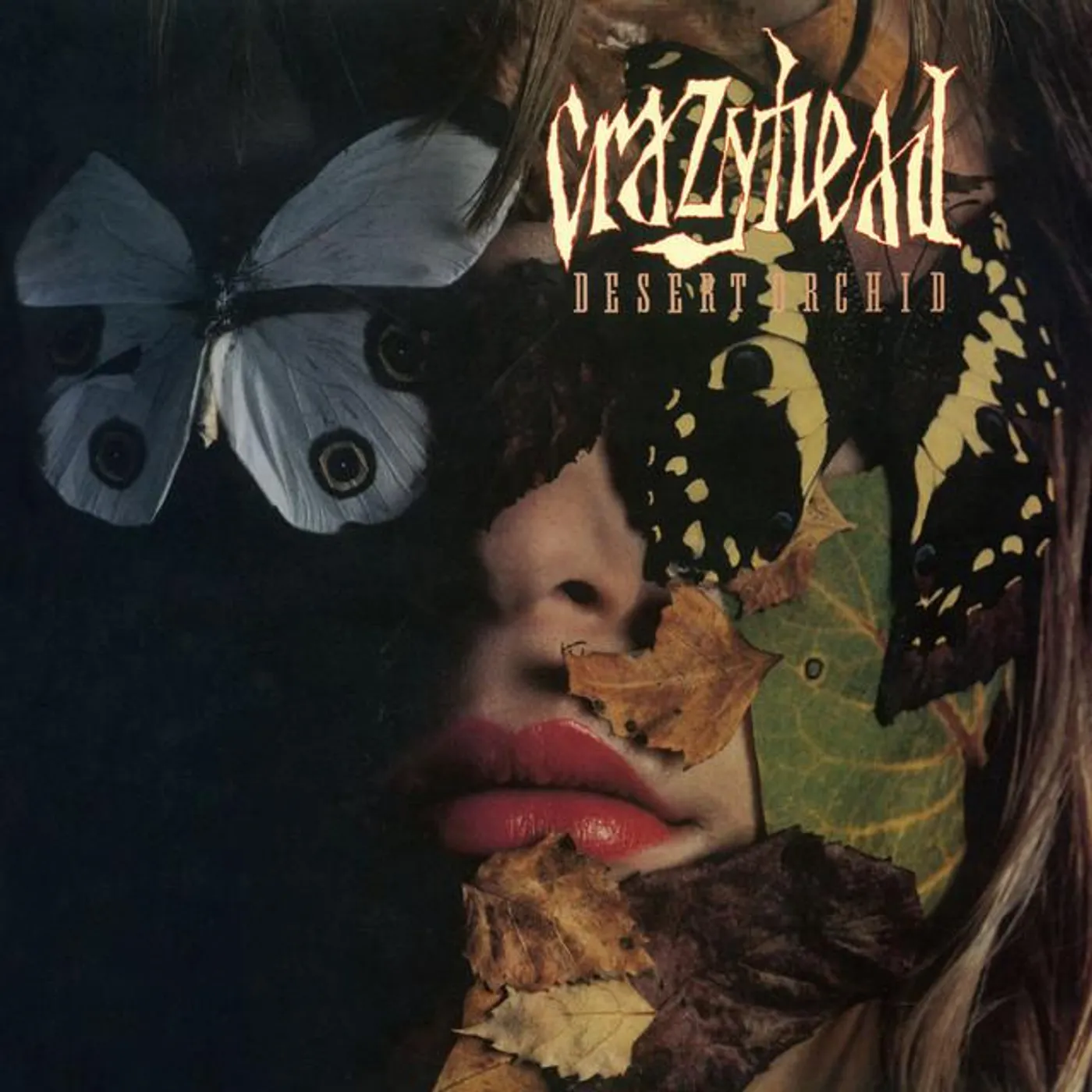 Crazyhead Brand Page