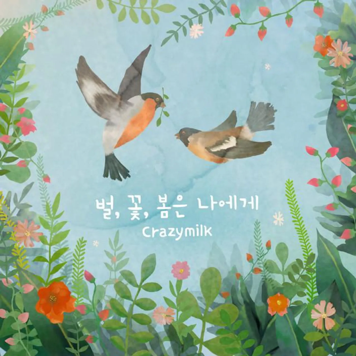 Crazymilk Brand Page