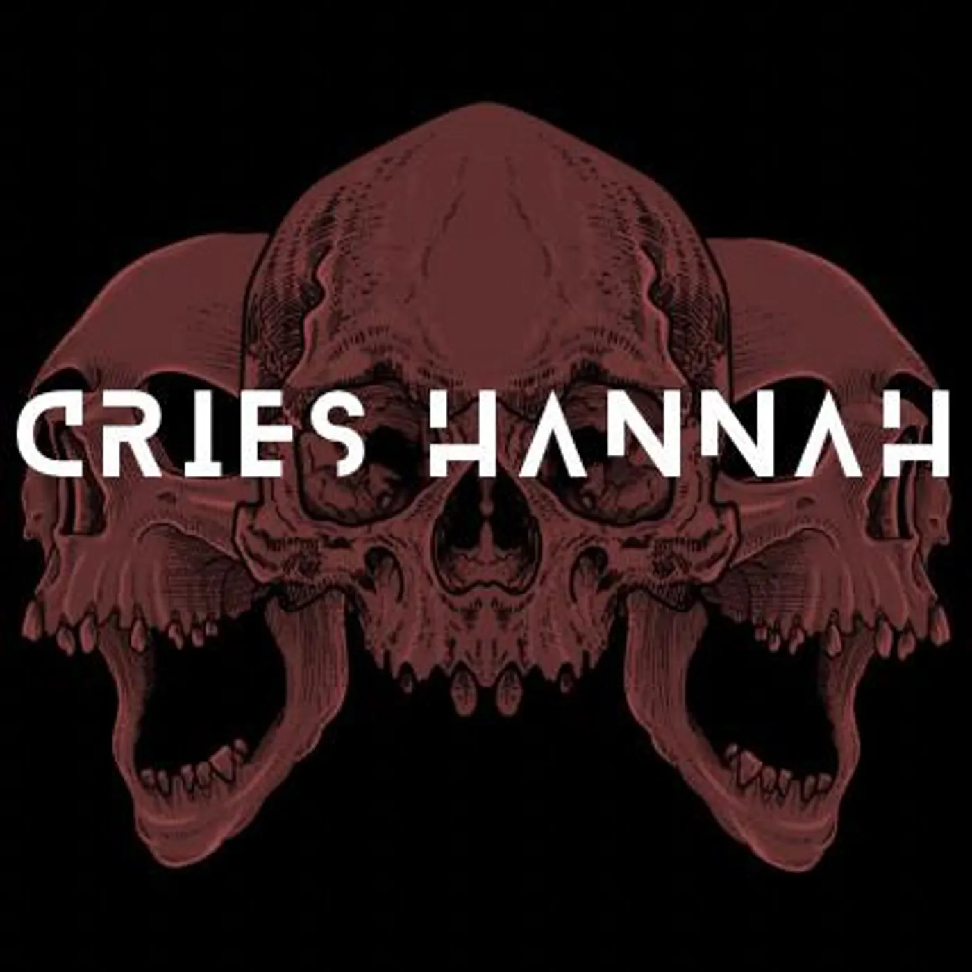 Cries Hannah Brand Page