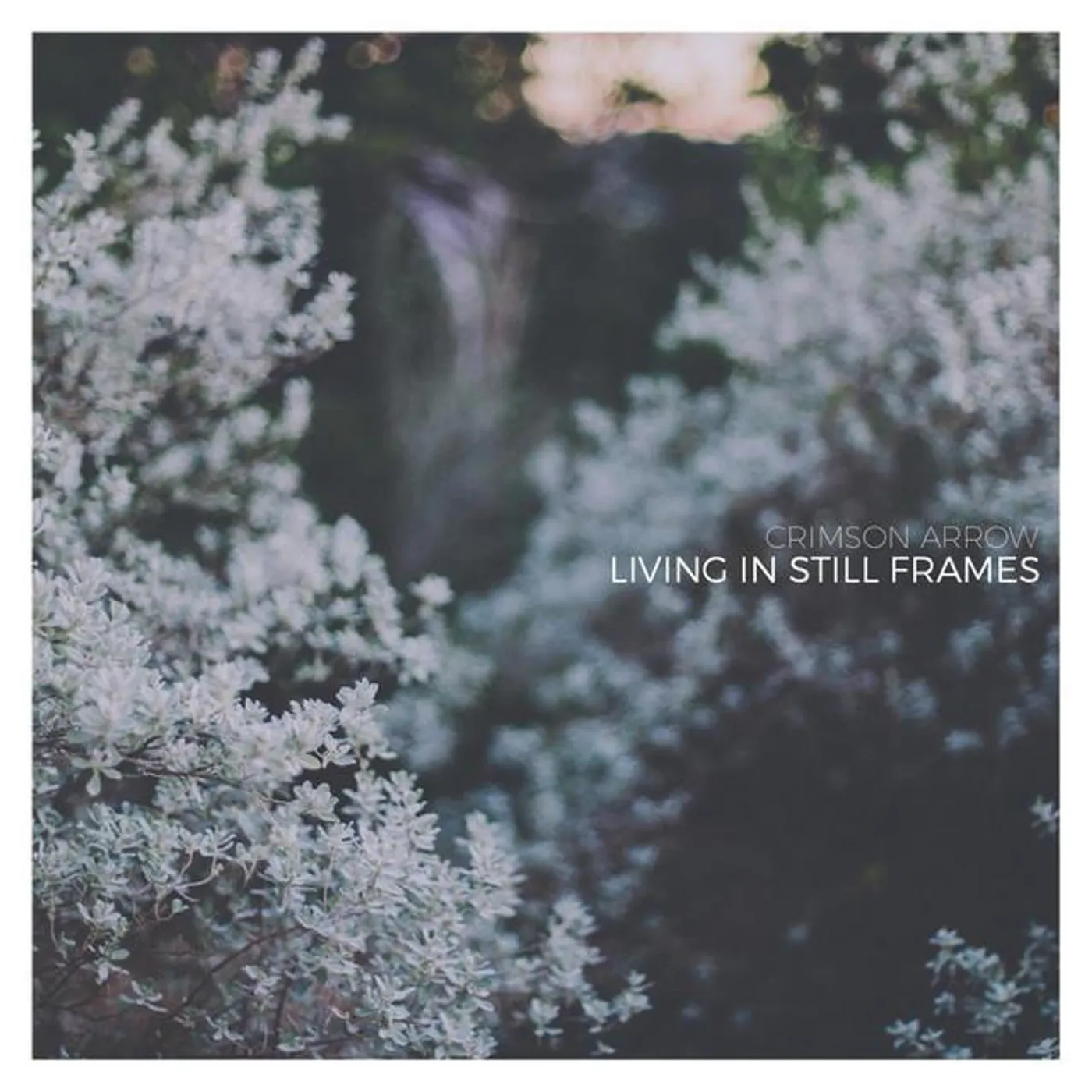 Crimson Arrow Brand Page