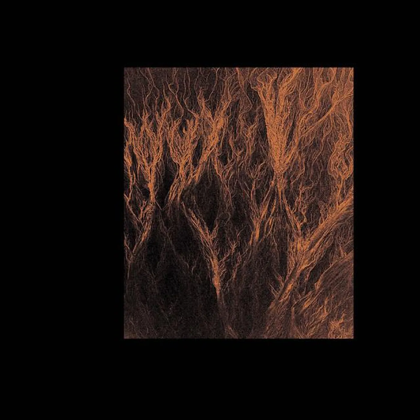 Cristi Cons Brand Page