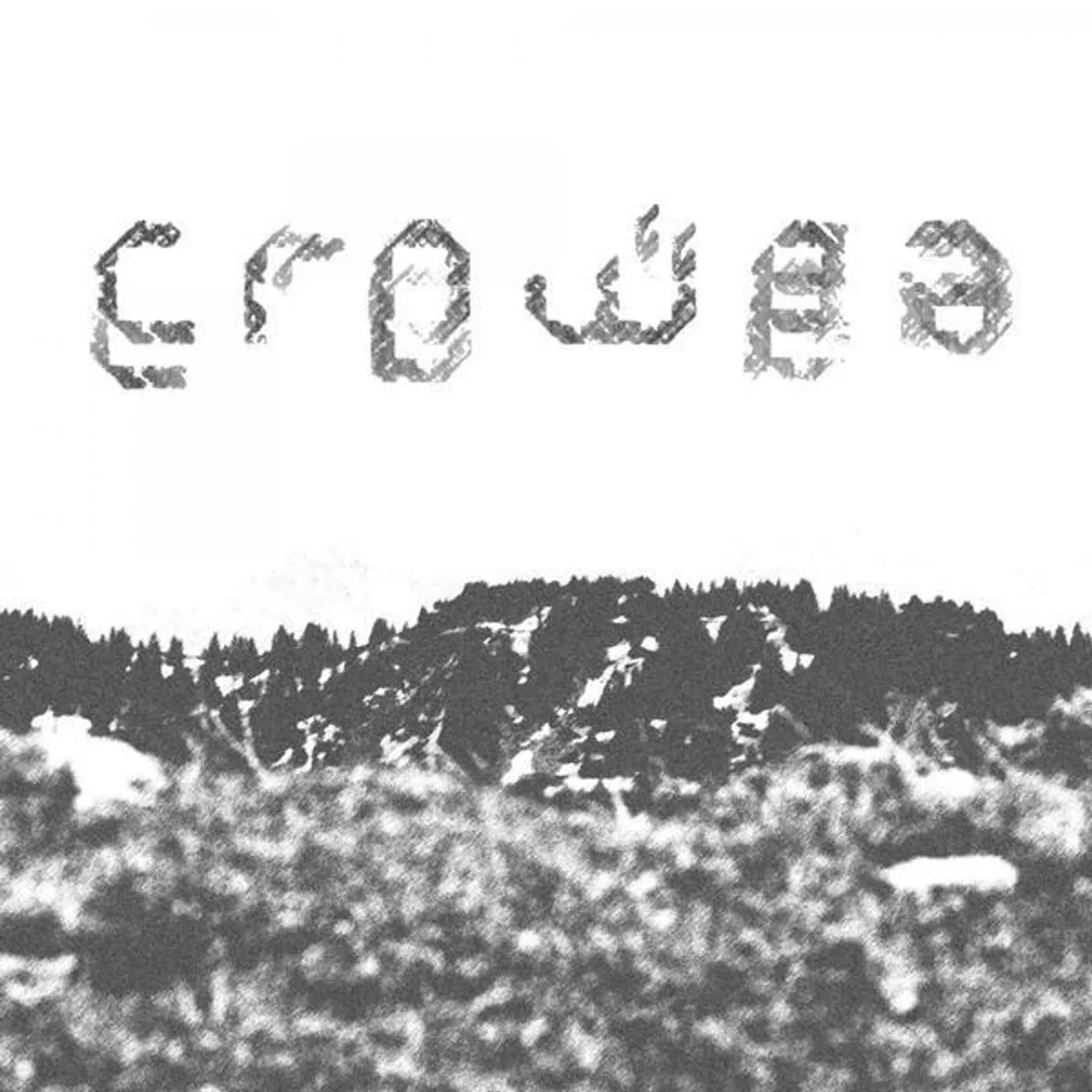 Crowea