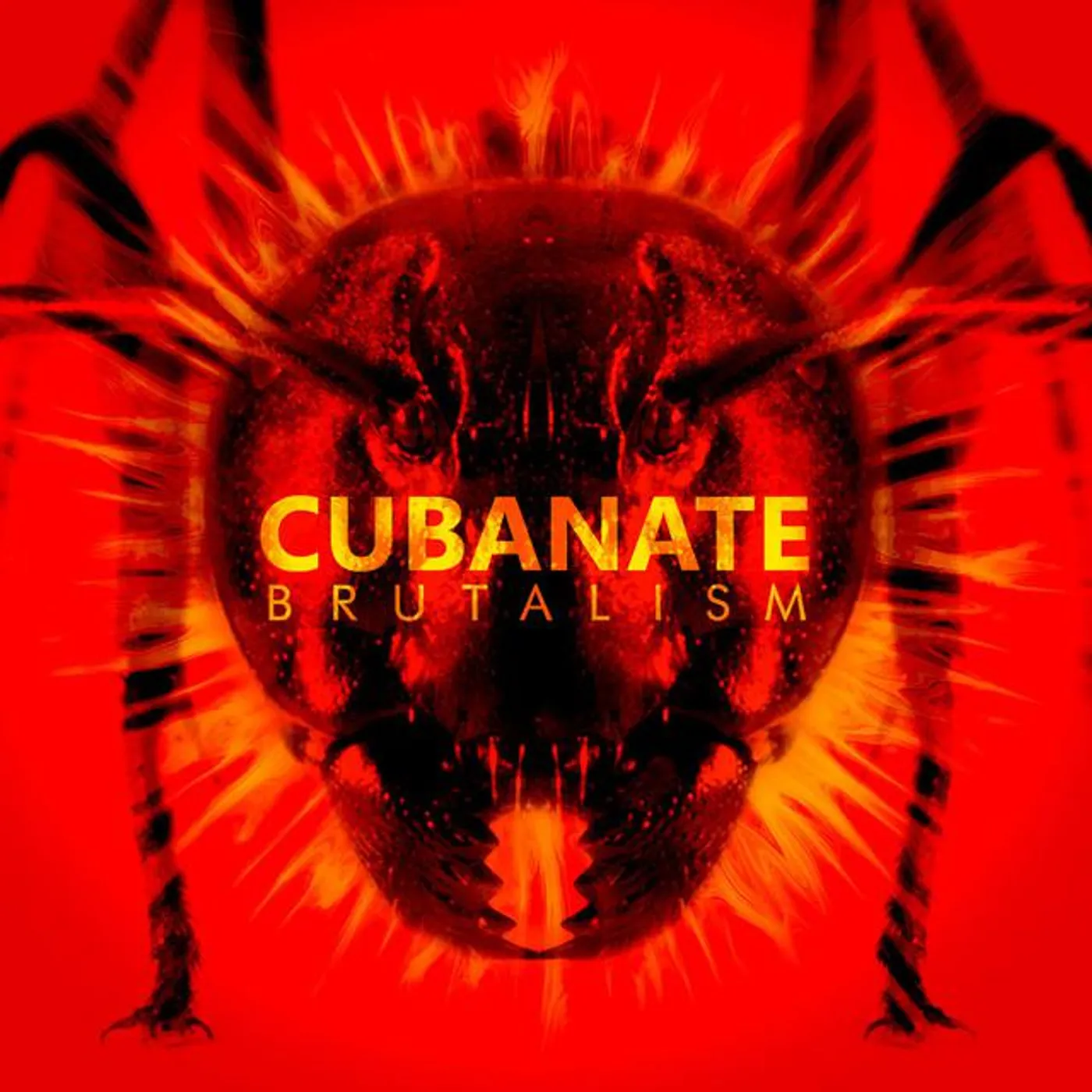 Cubanate Brand Page