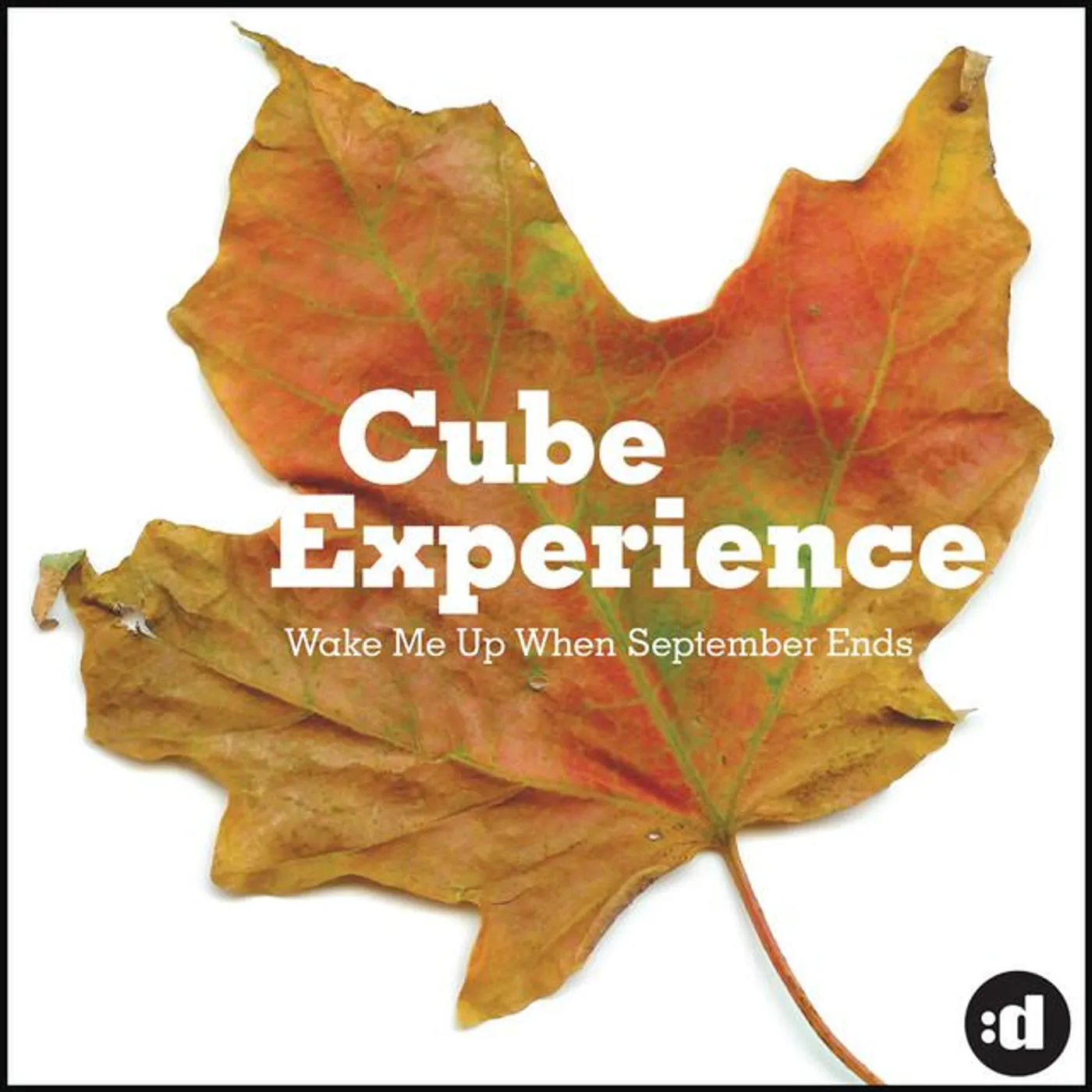 Cube Experience