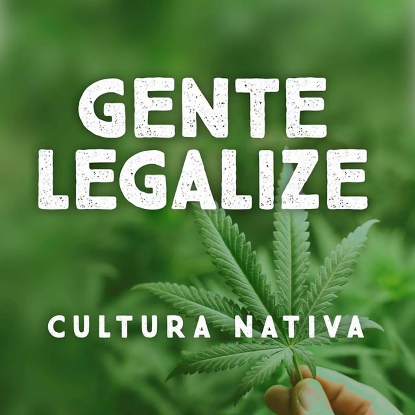Cultura Nativa