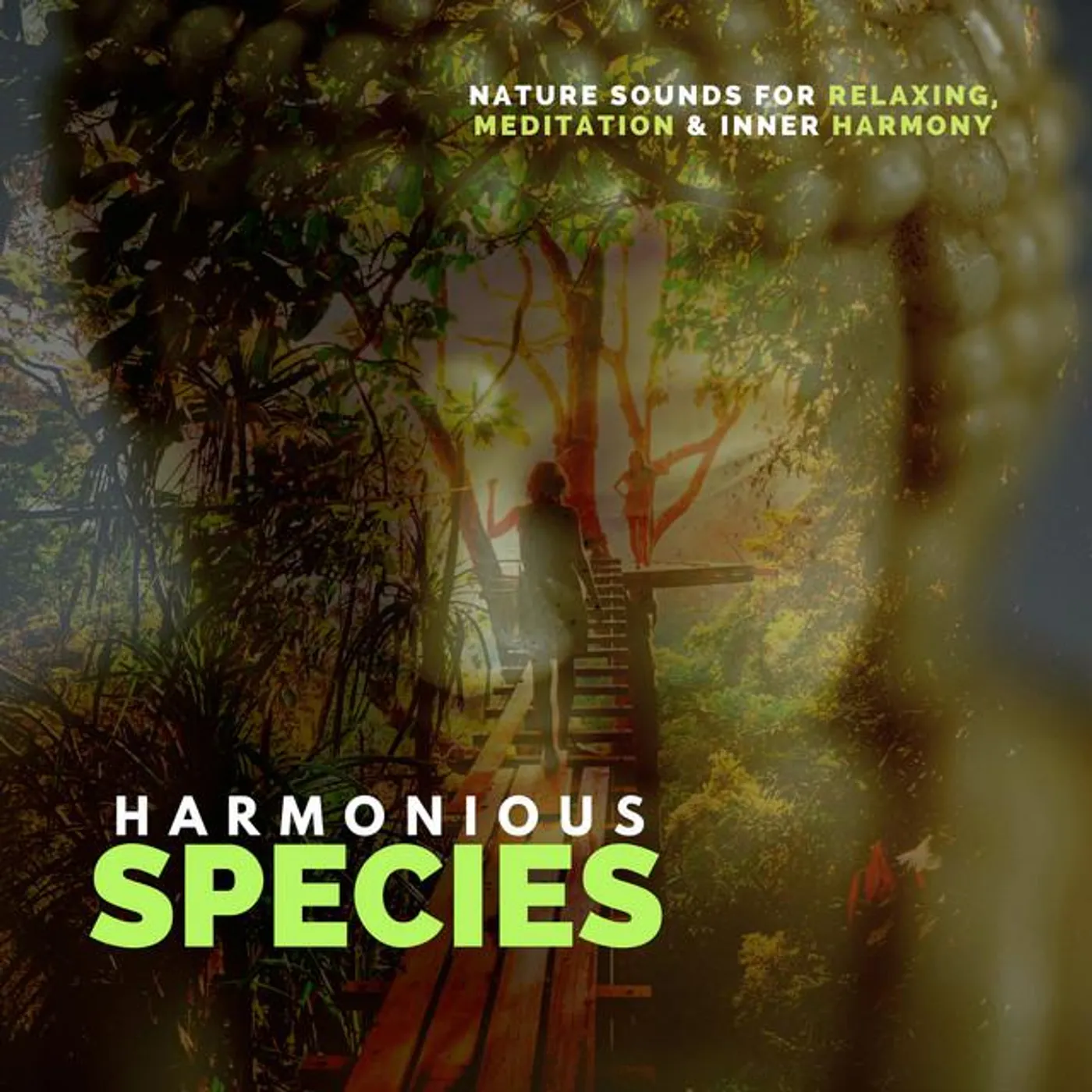 Curing Music for Mindfulness and Bliss